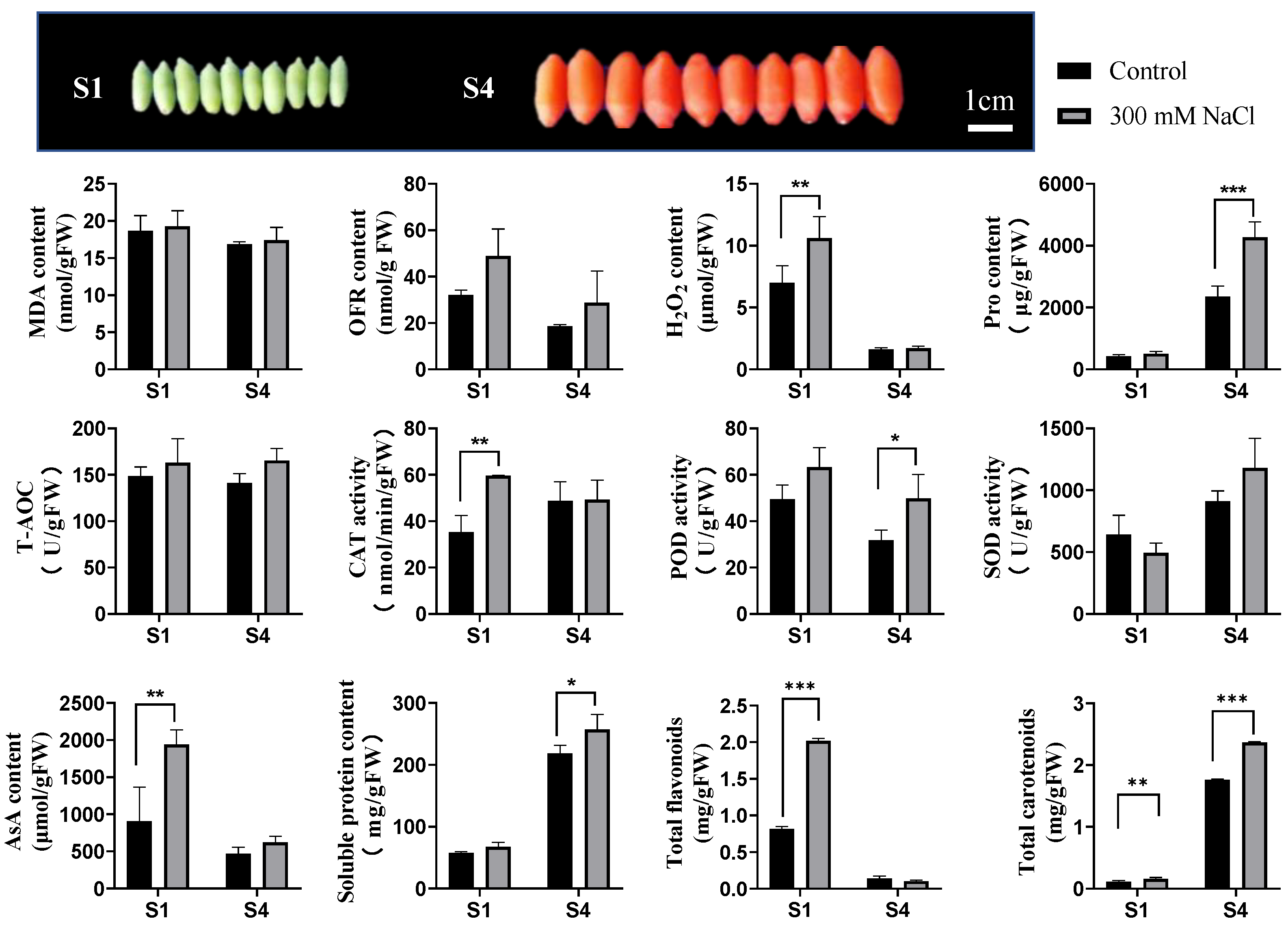 Ijms 22 04414 g001 Ijms 22 04414 g001