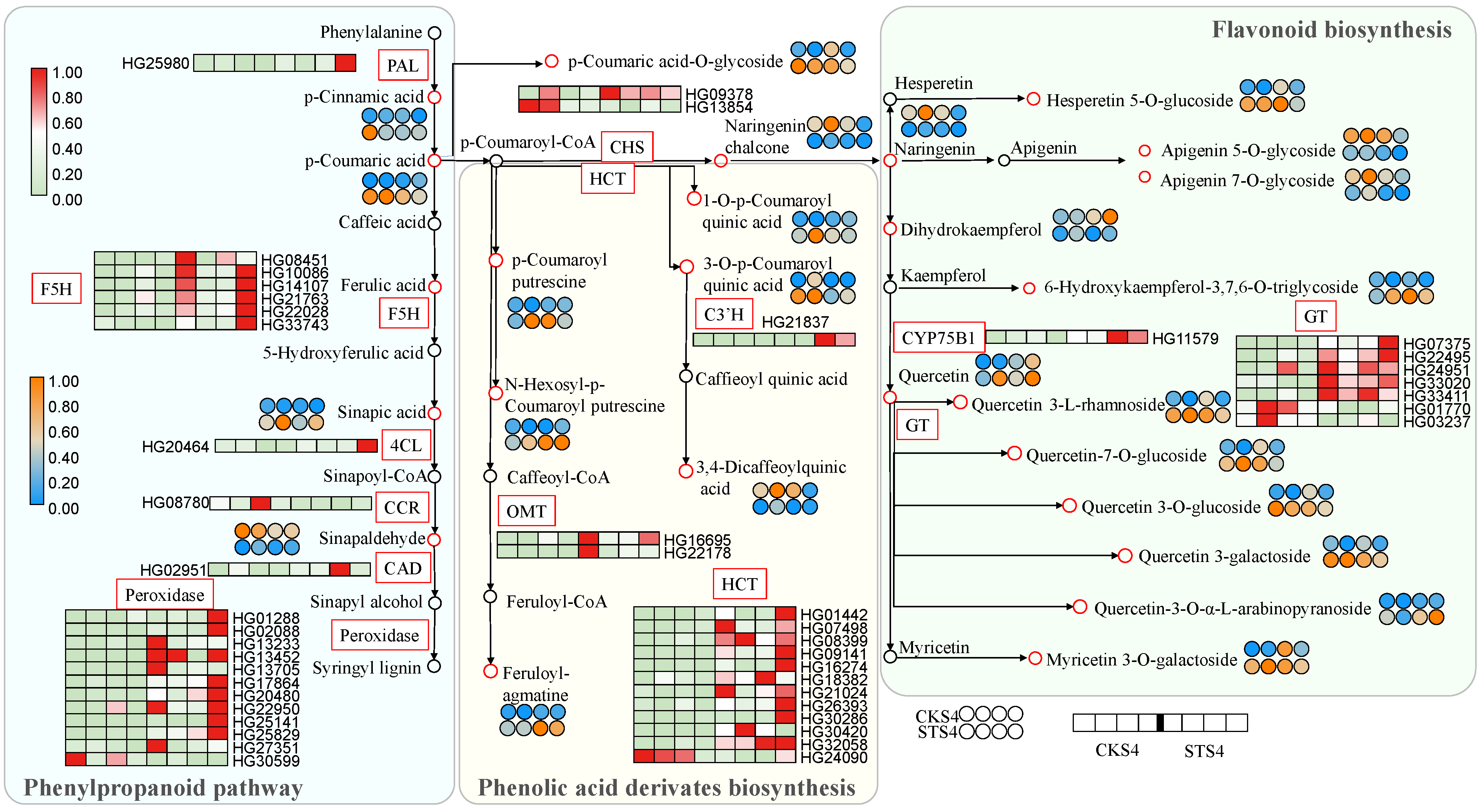 Ijms 22 04414 g005 Ijms 22 04414 g005