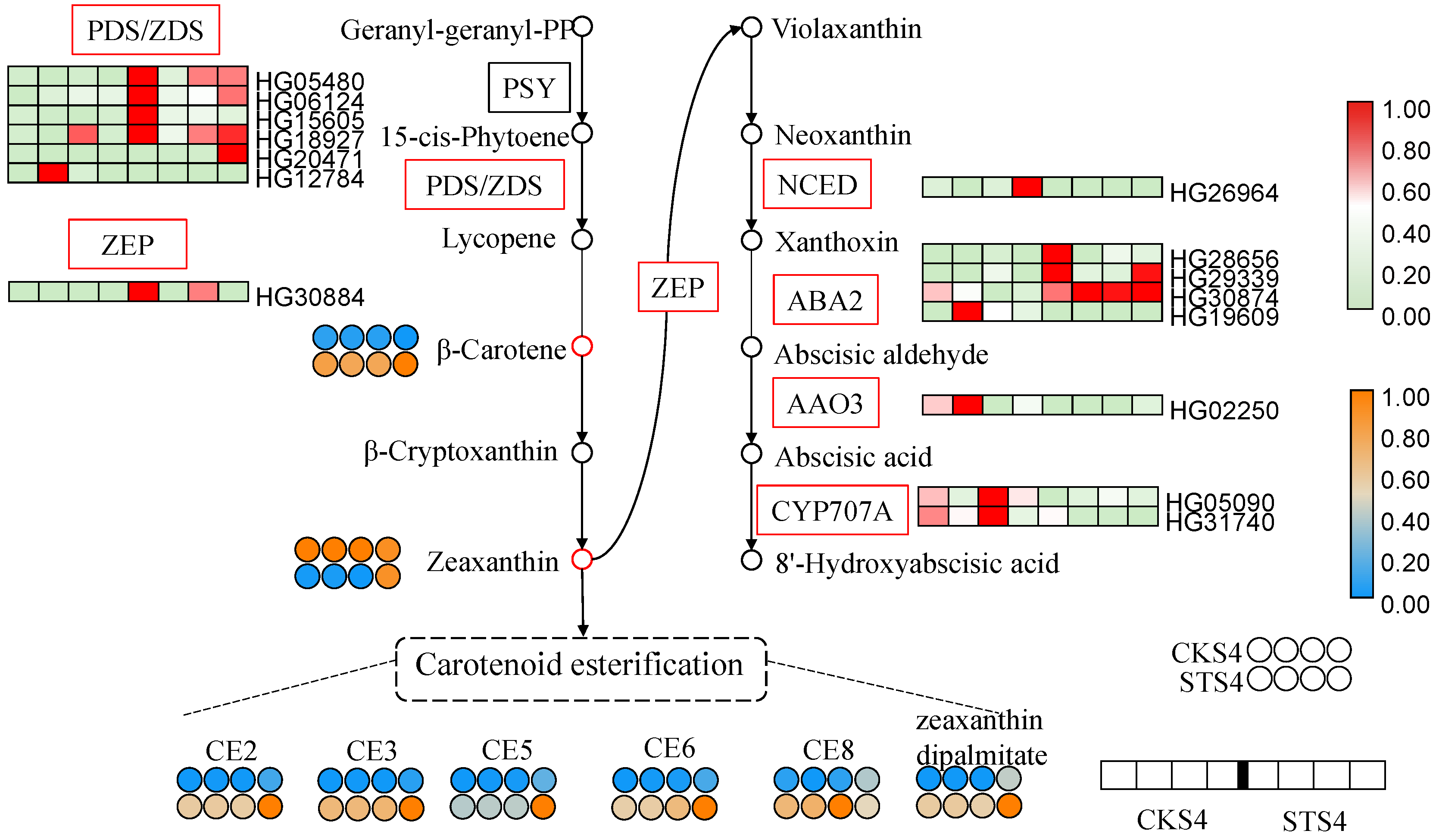Ijms 22 04414 g006 Ijms 22 04414 g006