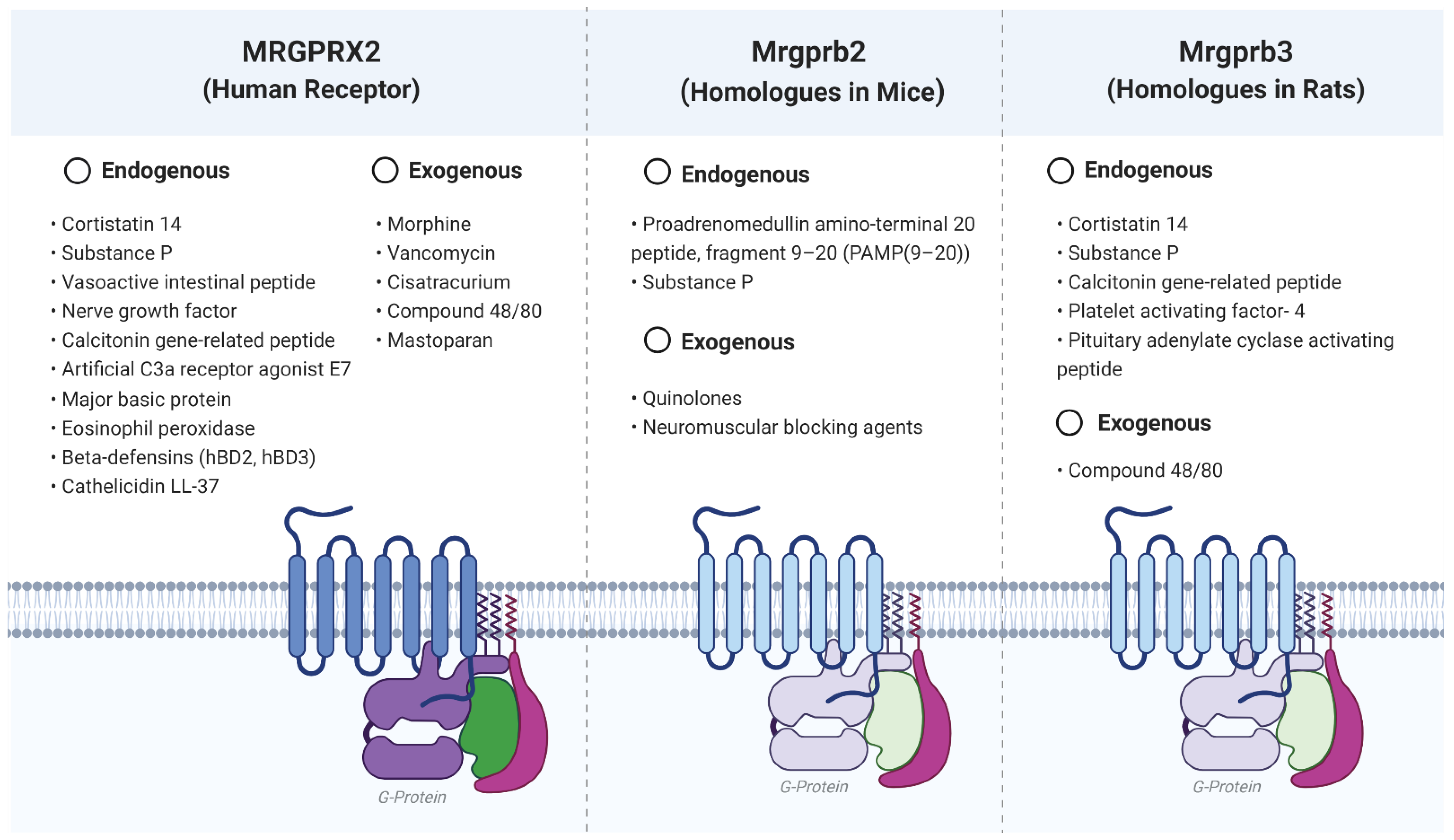 Ijms 22 04421 g001 Ijms 22 04421 g001