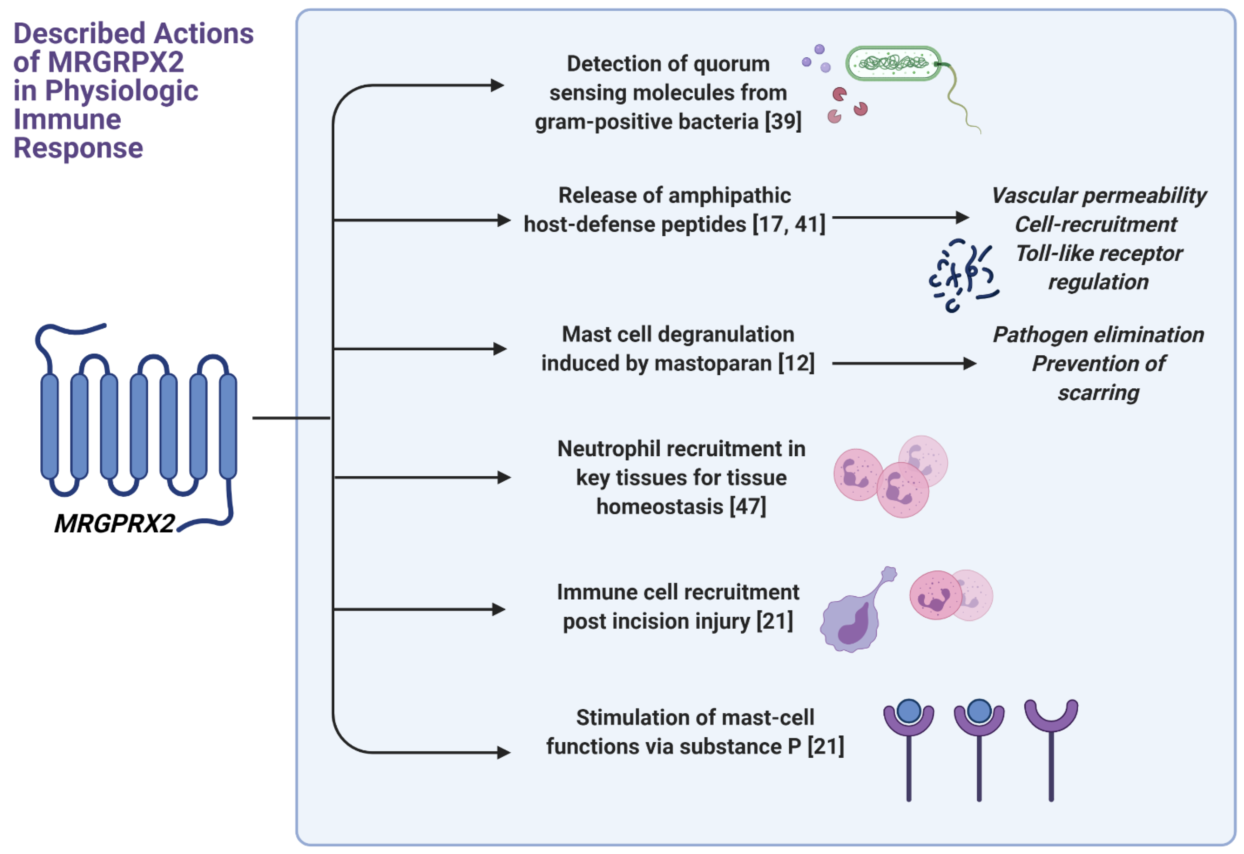 Ijms 22 04421 g002 Ijms 22 04421 g002