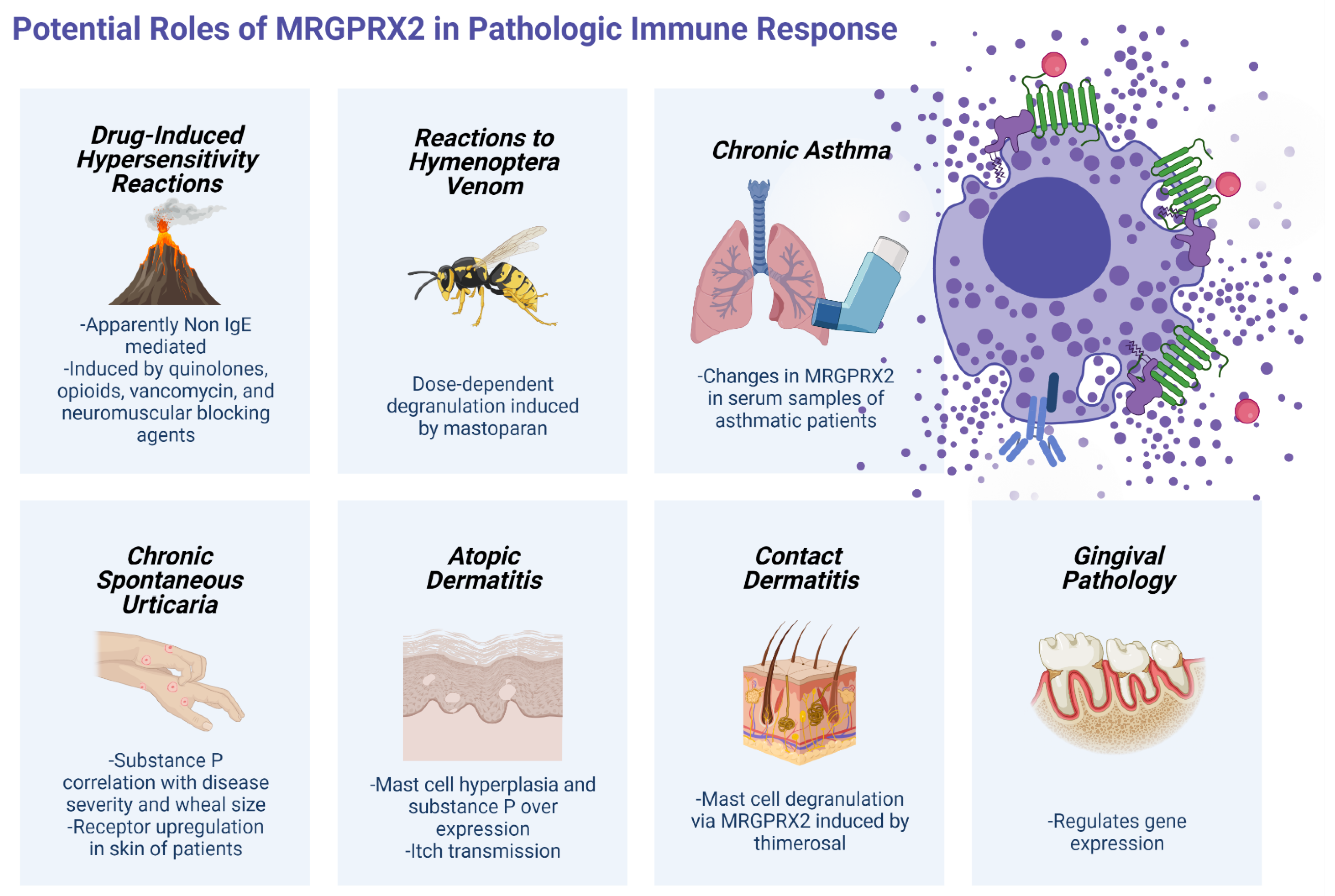 Ijms 22 04421 g003 Ijms 22 04421 g003