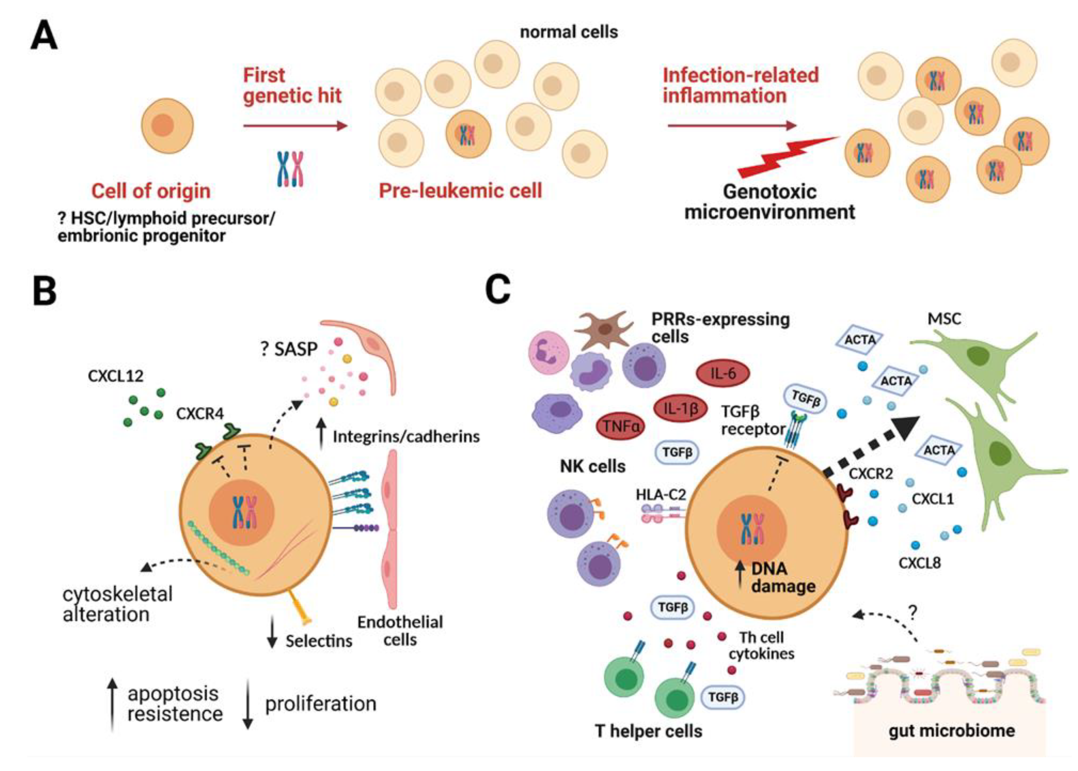 Ijms 22 04426 g001 Ijms 22 04426 g001