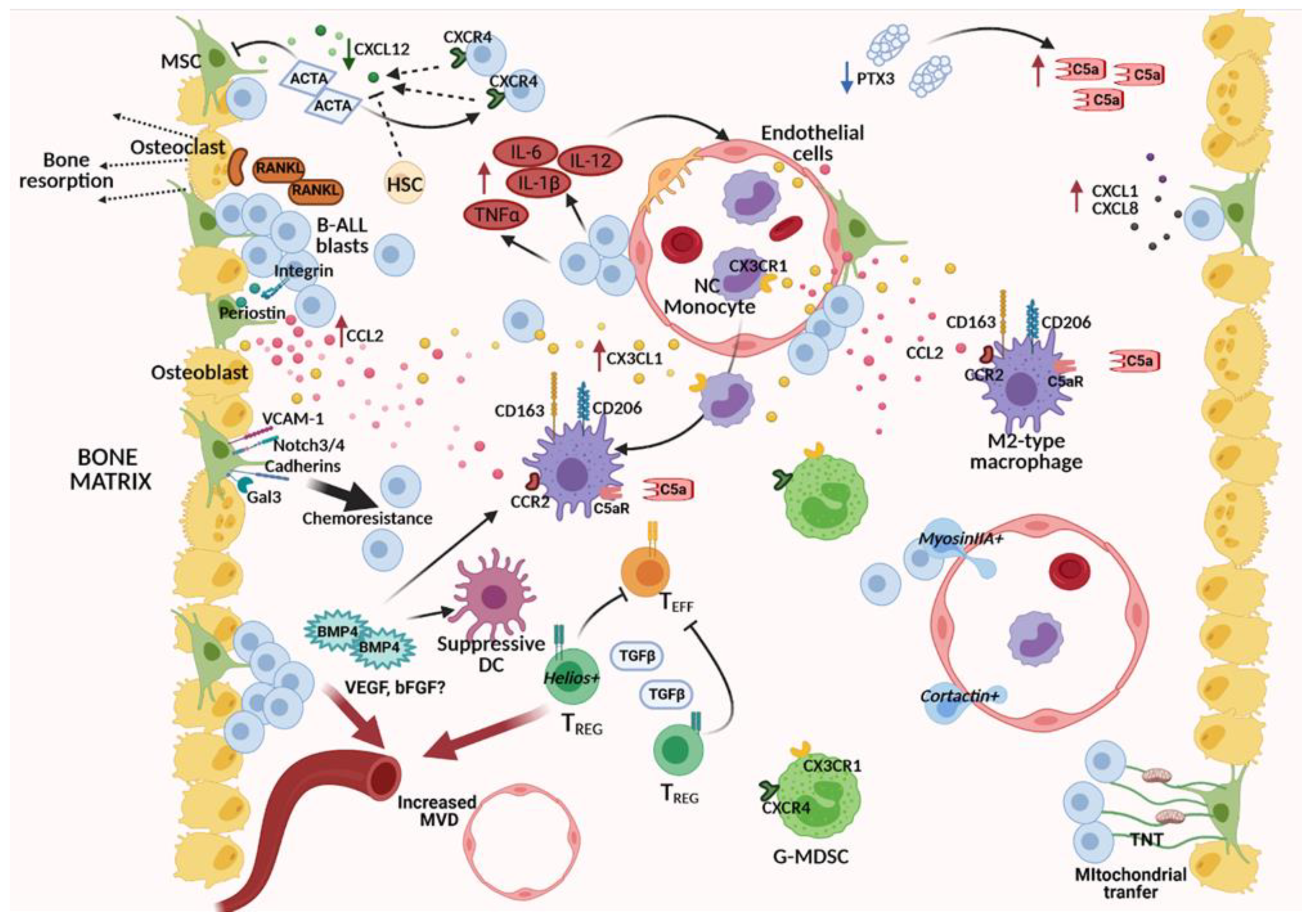 Ijms 22 04426 g002 Ijms 22 04426 g002