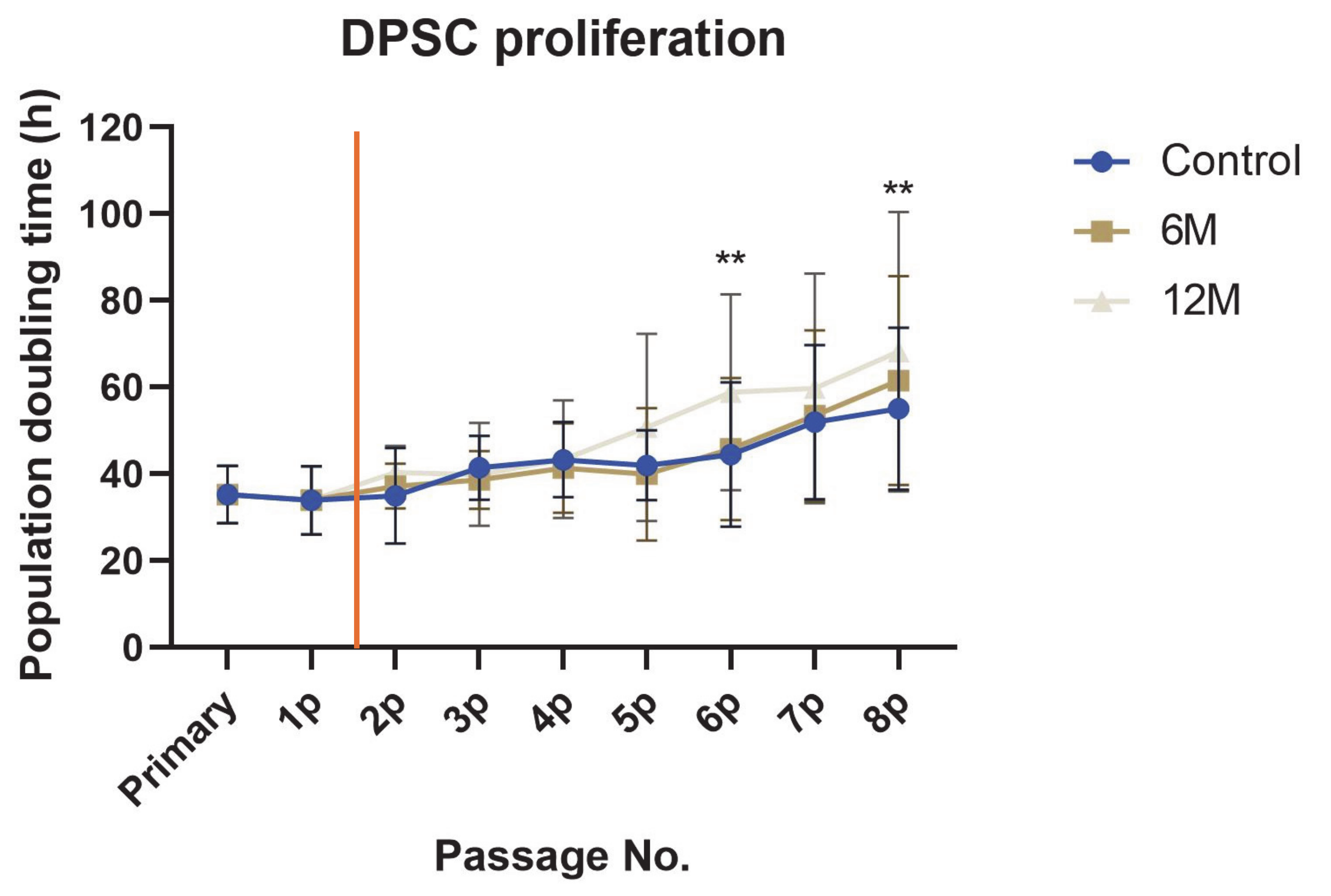 Ijms Free Full Text The Effects Of Cryogenic Storage On Human Dental Pulp Stem Cells Html