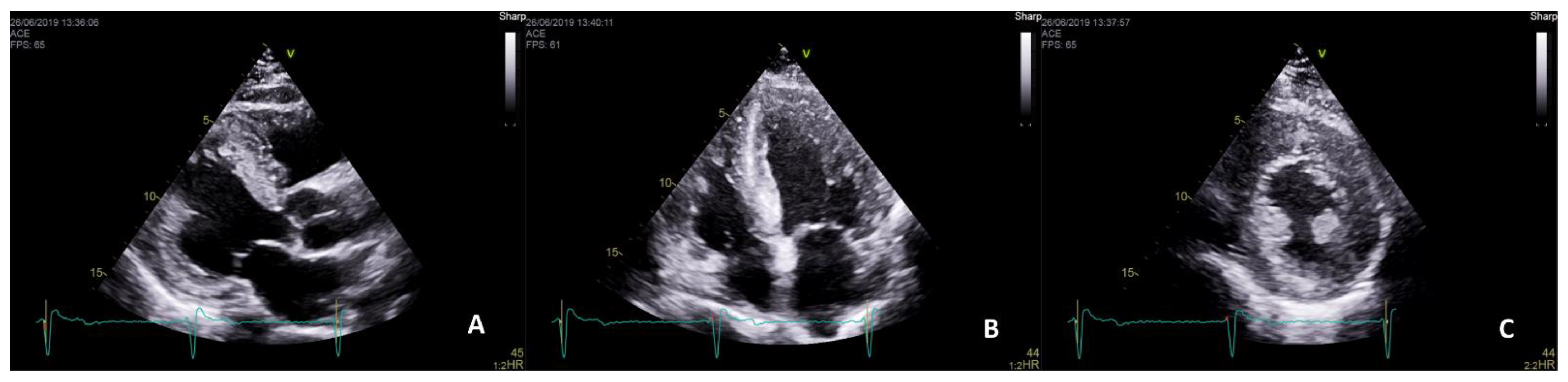 Ijms 22 04434 g001 Ijms 22 04434 g001