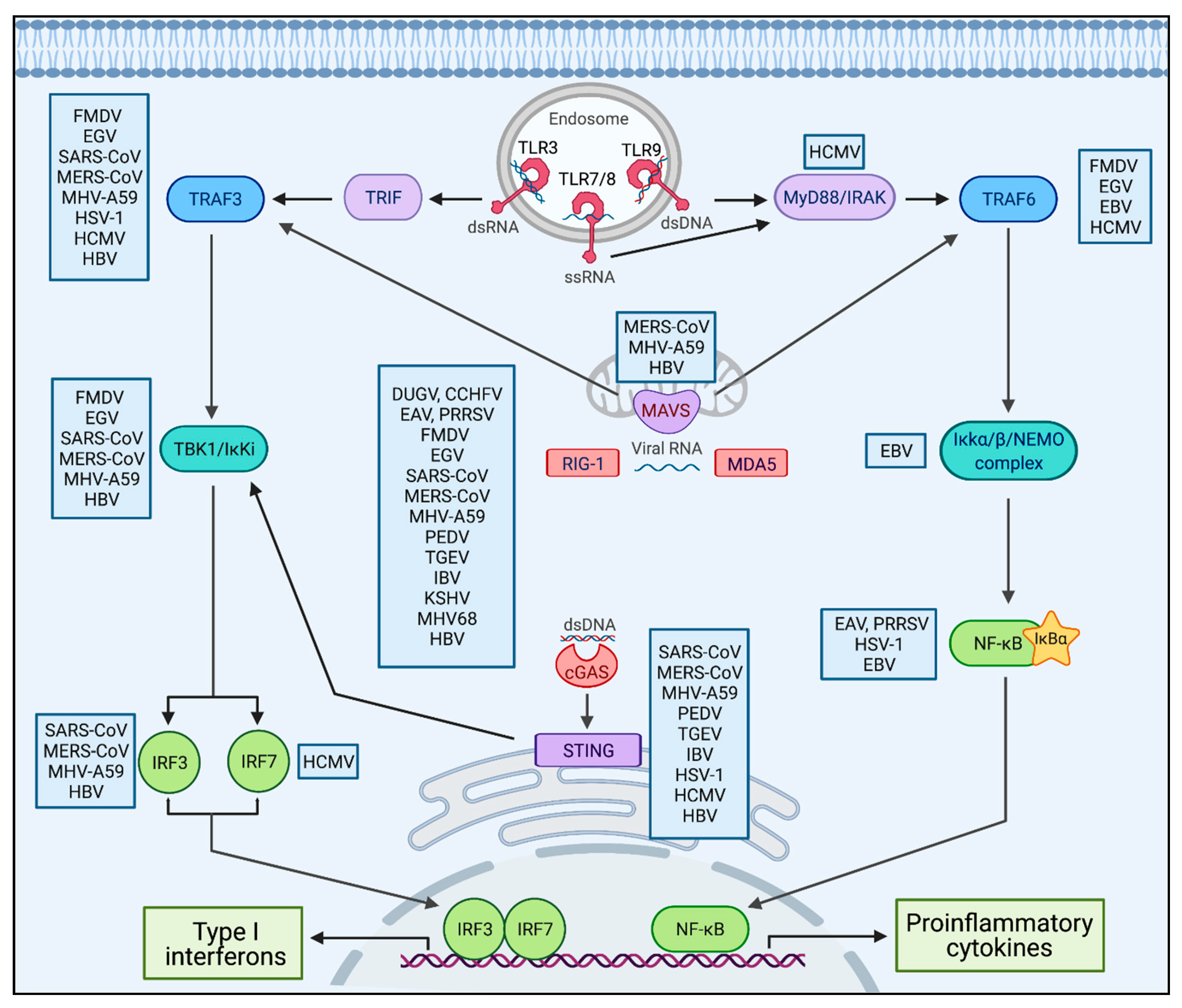 Ijms 22 04438 g002 Ijms 22 04438 g002