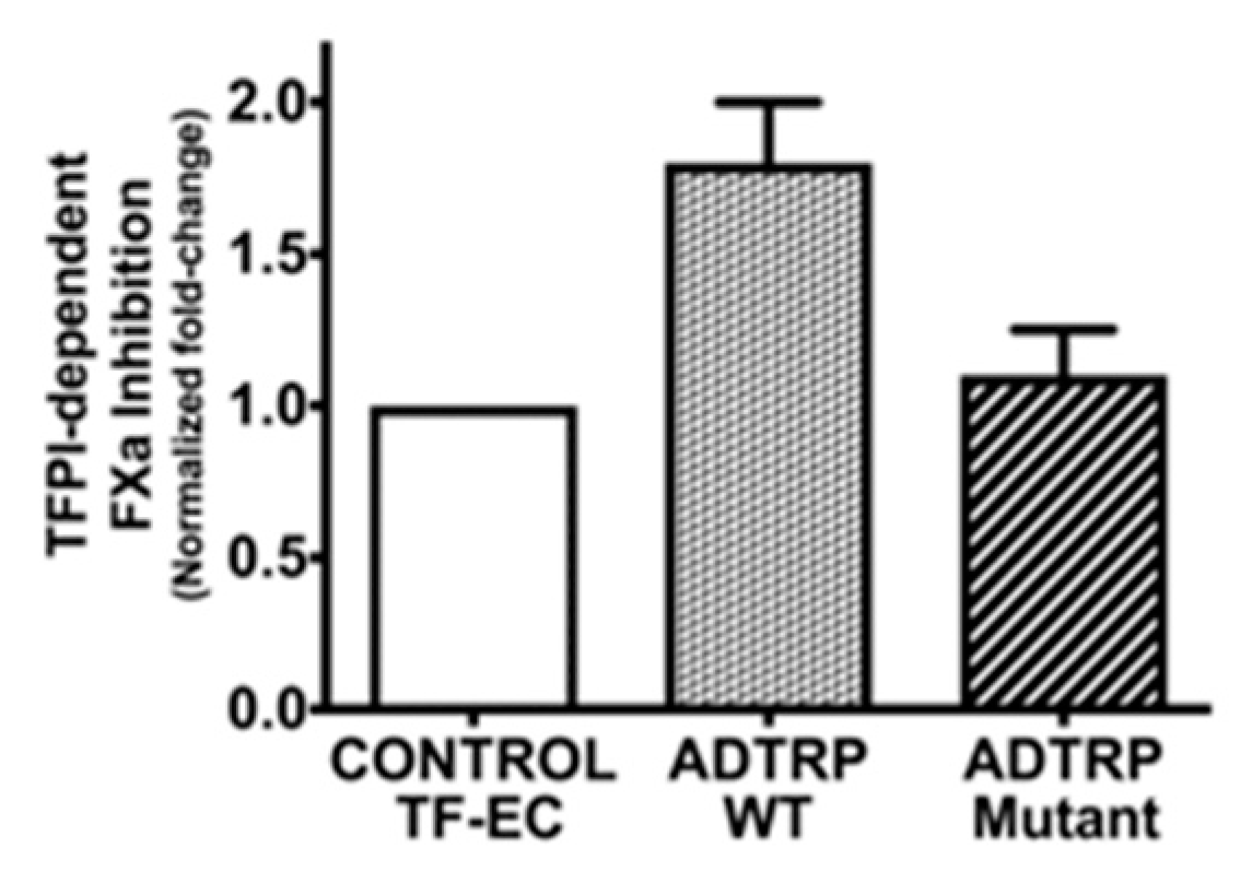 Ijms 22 04451 g005 Ijms 22 04451 g005