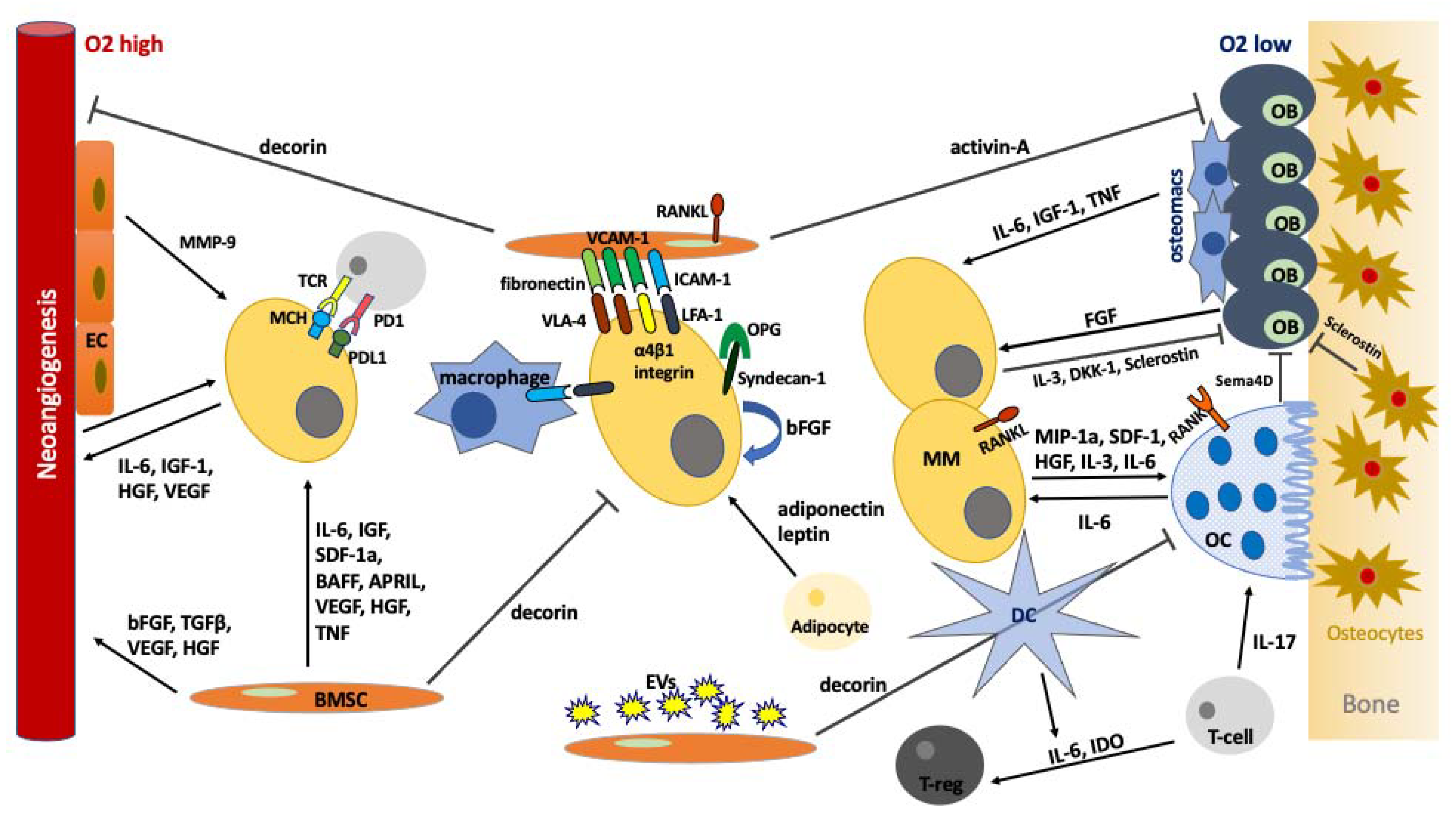 Ijms 22 04462 g001 Ijms 22 04462 g001