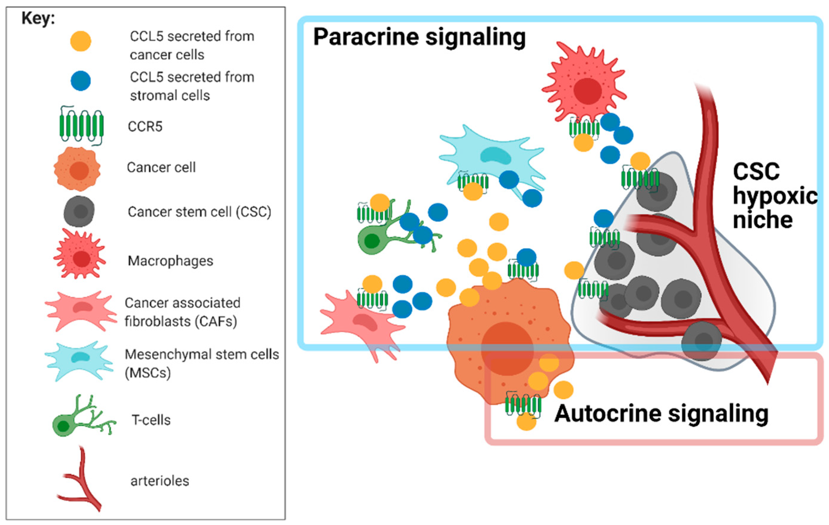Ijms 22 04464 g002 Ijms 22 04464 g002