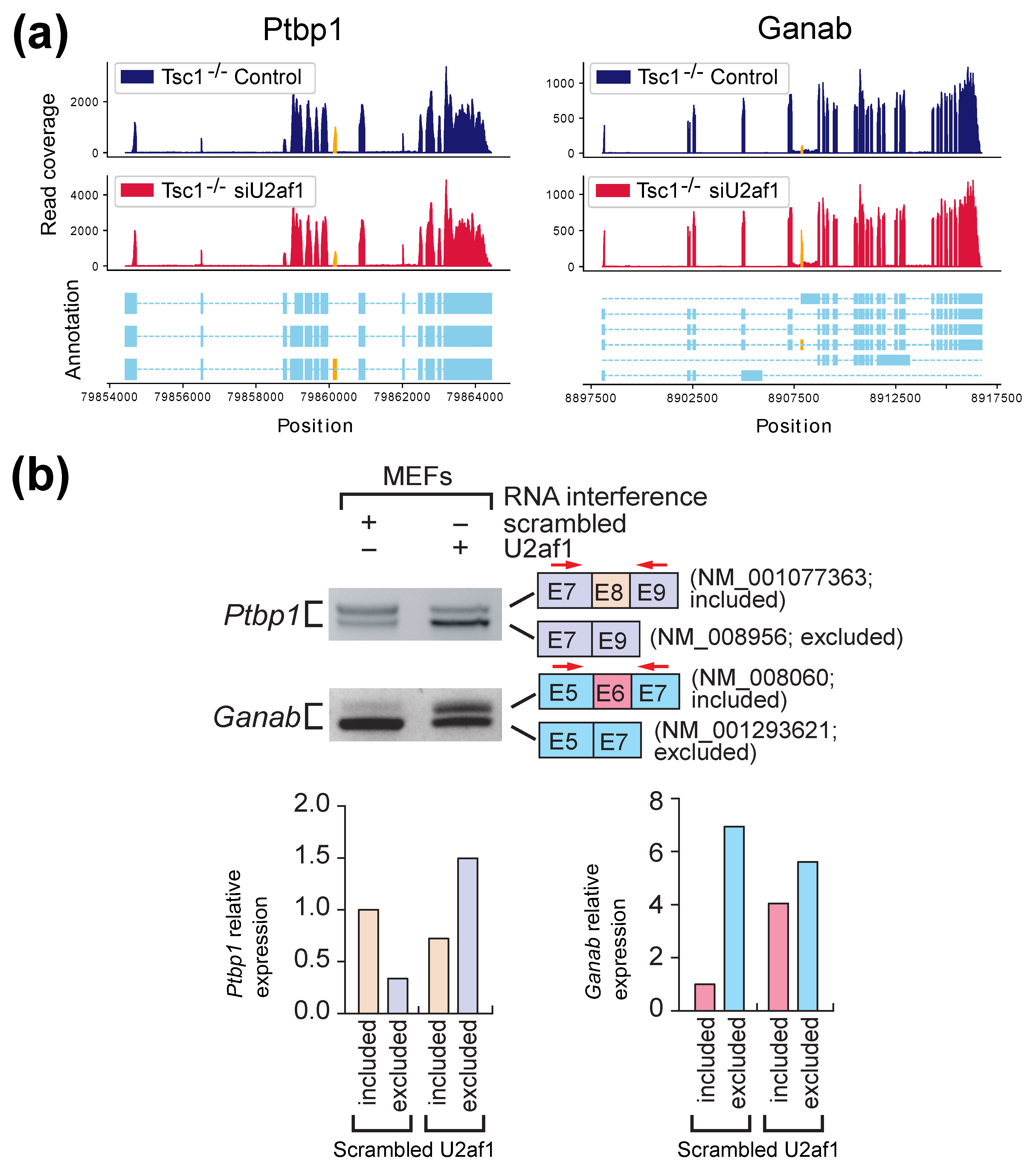 Ijms 22 04468 g004 Ijms 22 04468 g004