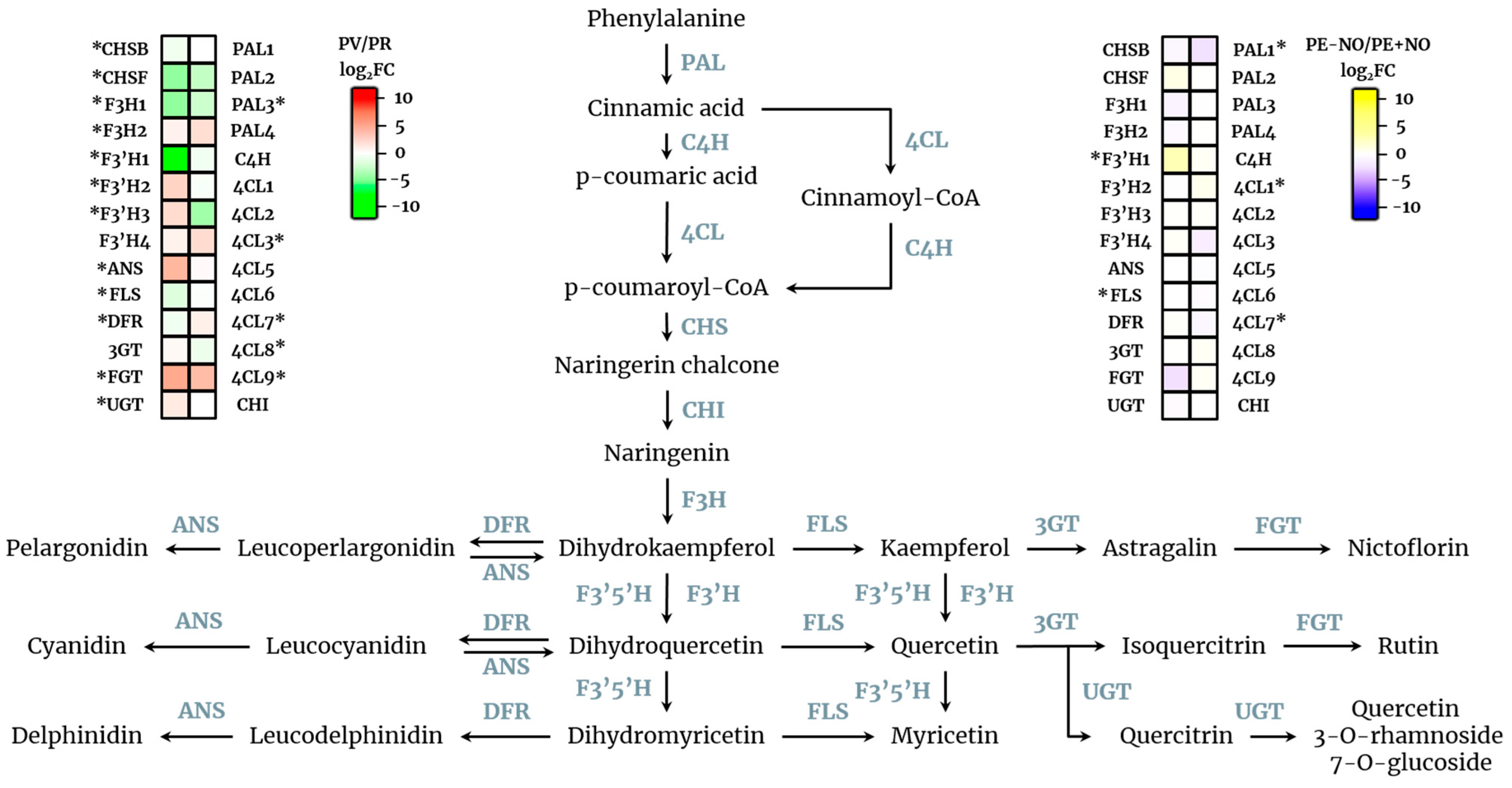 Ijms 22 04476 g003 Ijms 22 04476 g003