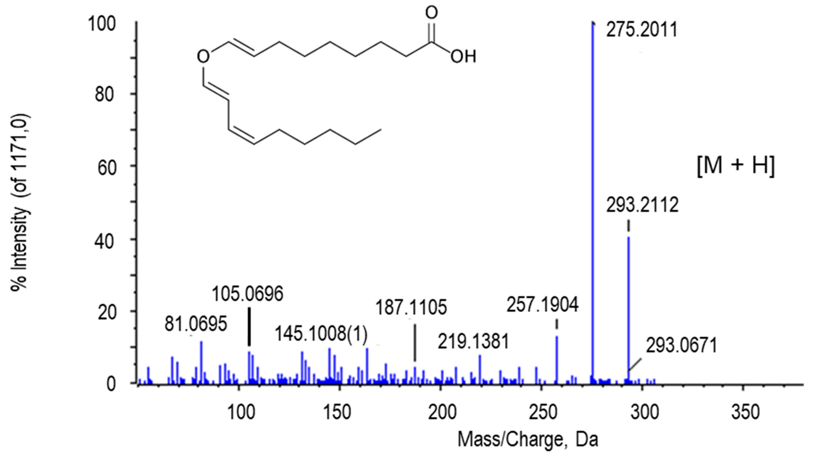 Ijms 22 04476 g009 Ijms 22 04476 g009