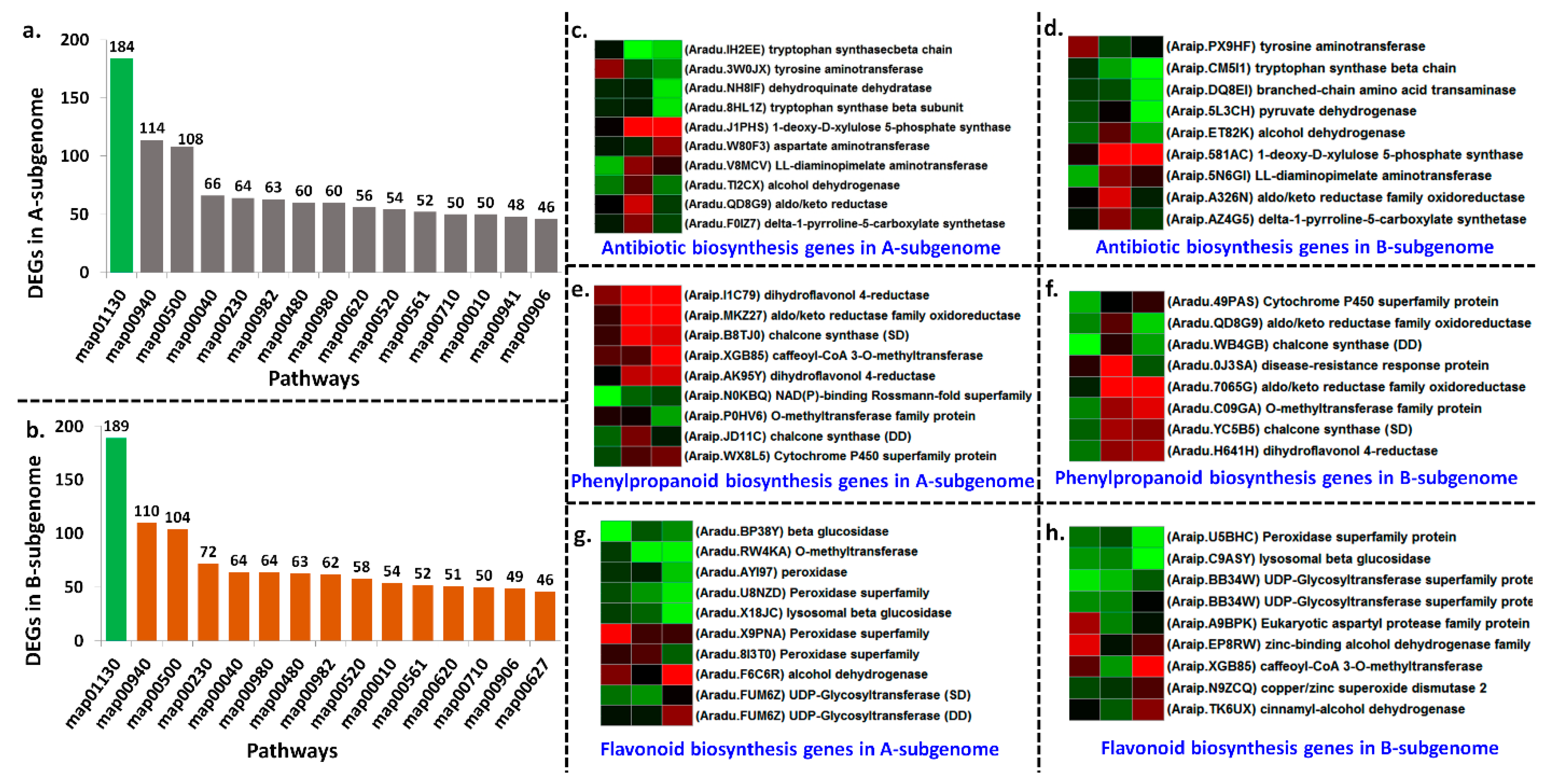 ijms free full text comparative transcriptome analysis identified candidate genes for late leaf spot resistance and cause of defoliation in groundnut html