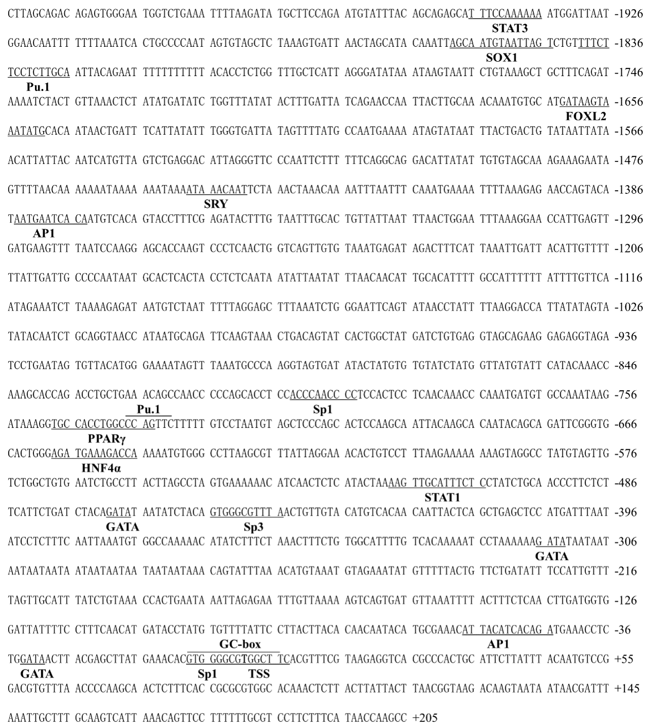 Ijms 22 04505 g002 Ijms 22 04505 g002