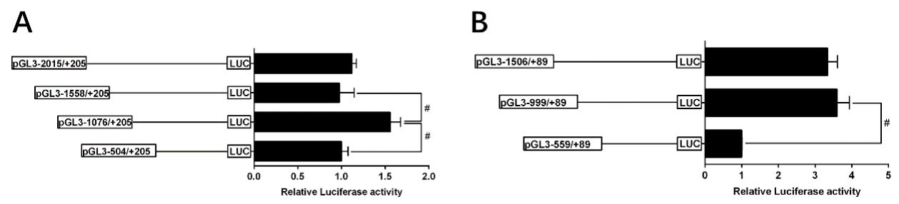 Ijms 22 04505 g004 Ijms 22 04505 g004