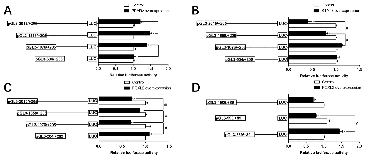 Ijms 22 04505 g005 Ijms 22 04505 g005