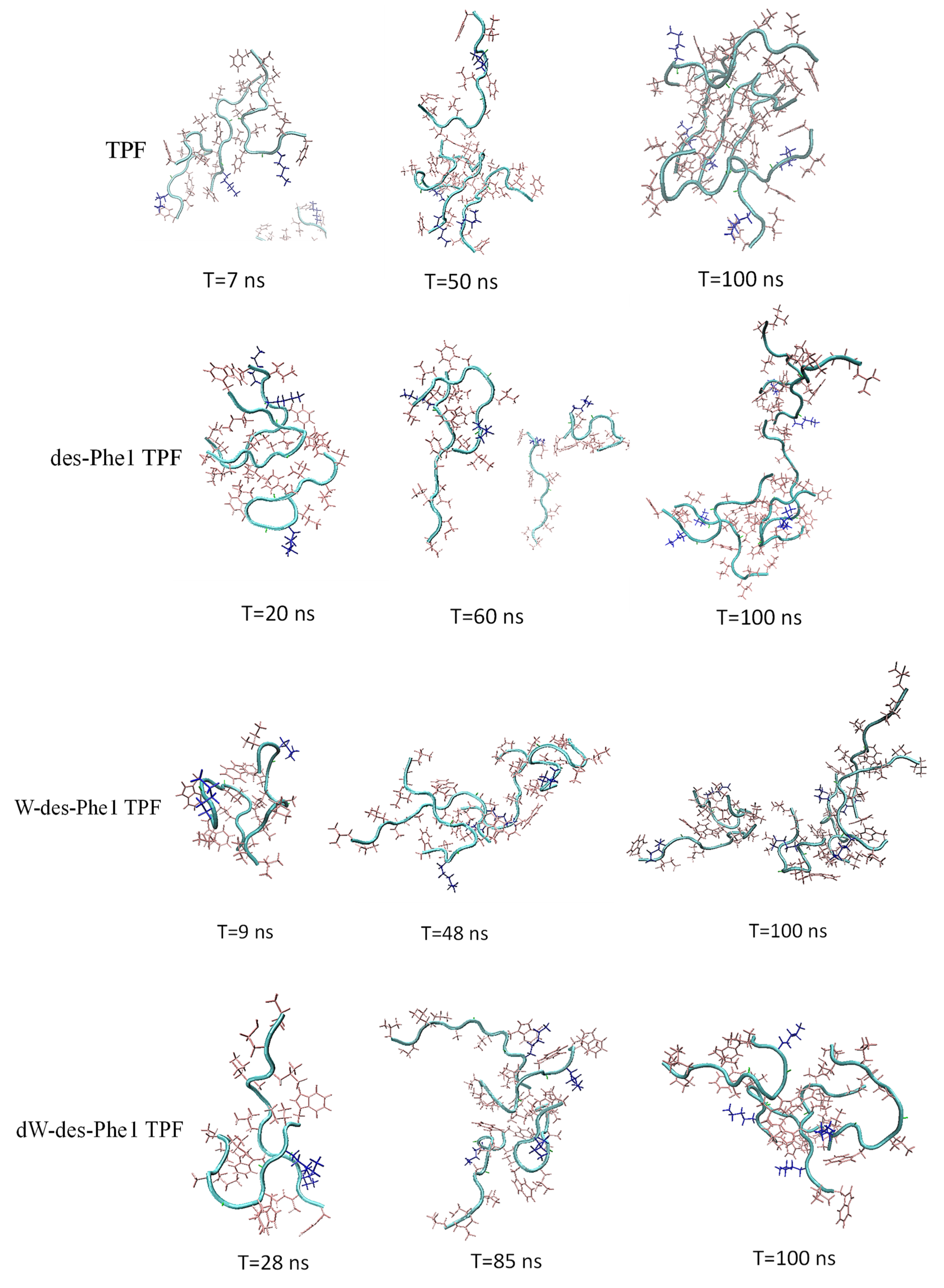 Ijms 22 04509 g006 Ijms 22 04509 g006