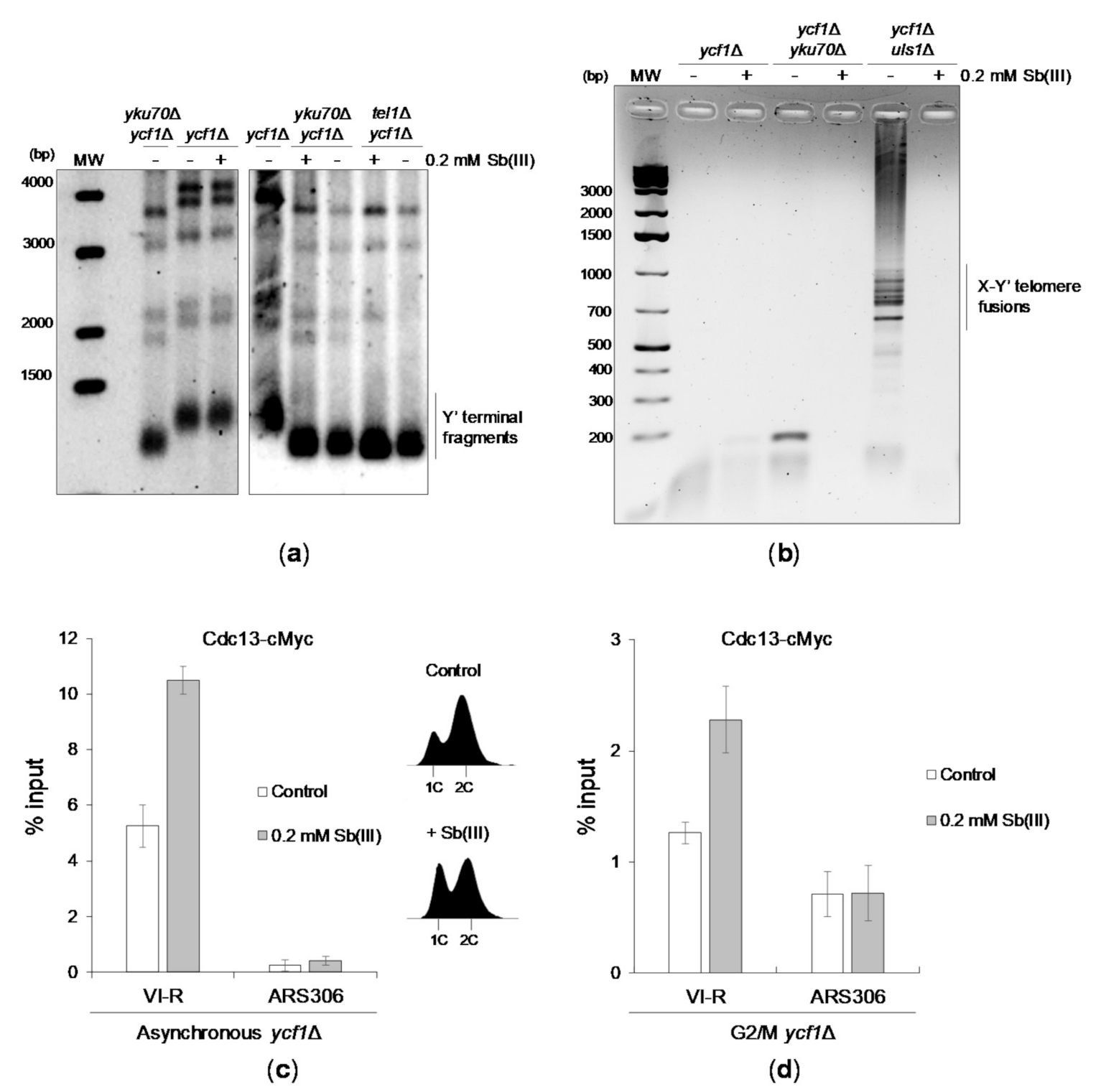 Ijms 22 04510 g008