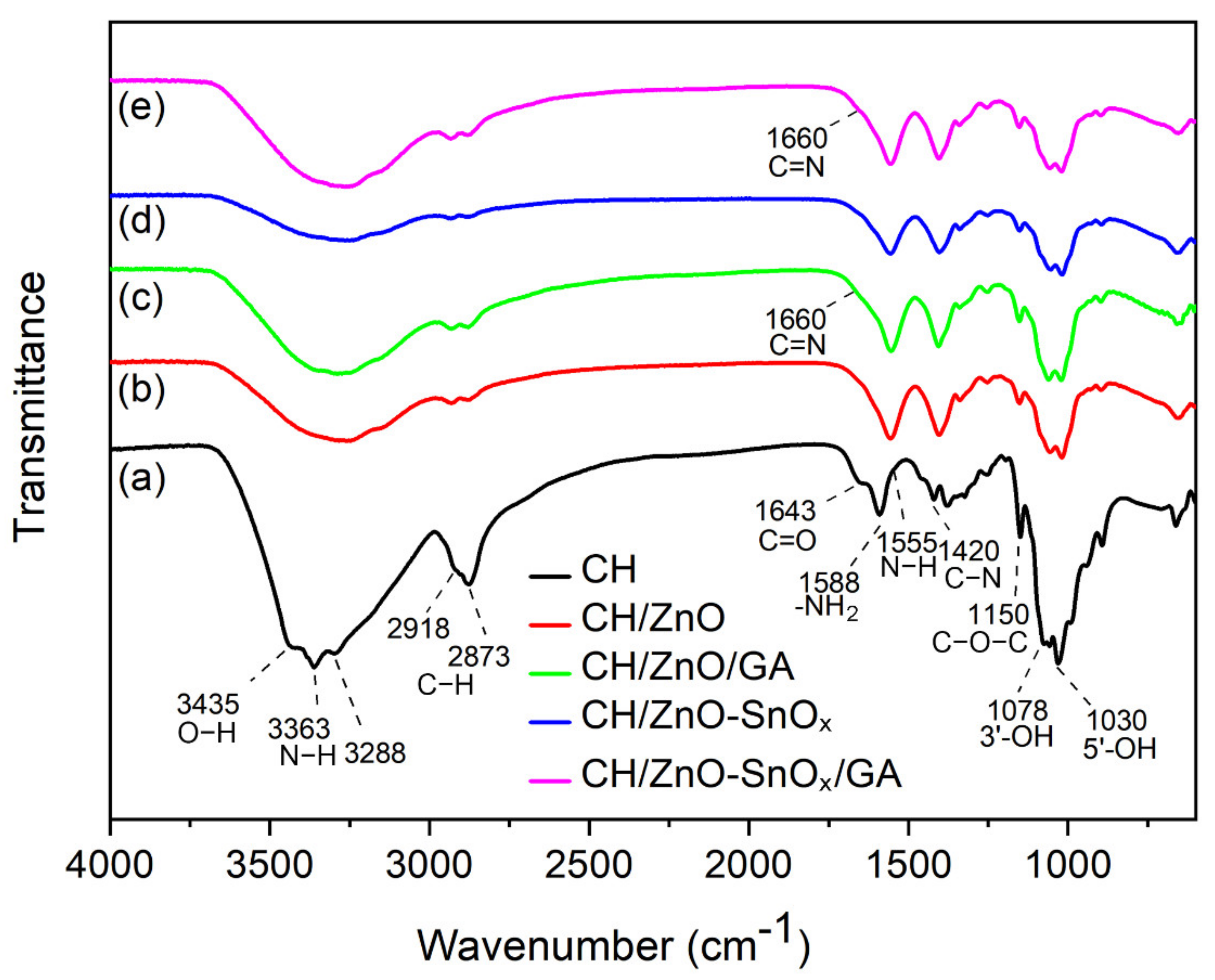 Ijms 22 04513 g004 Ijms 22 04513 g004