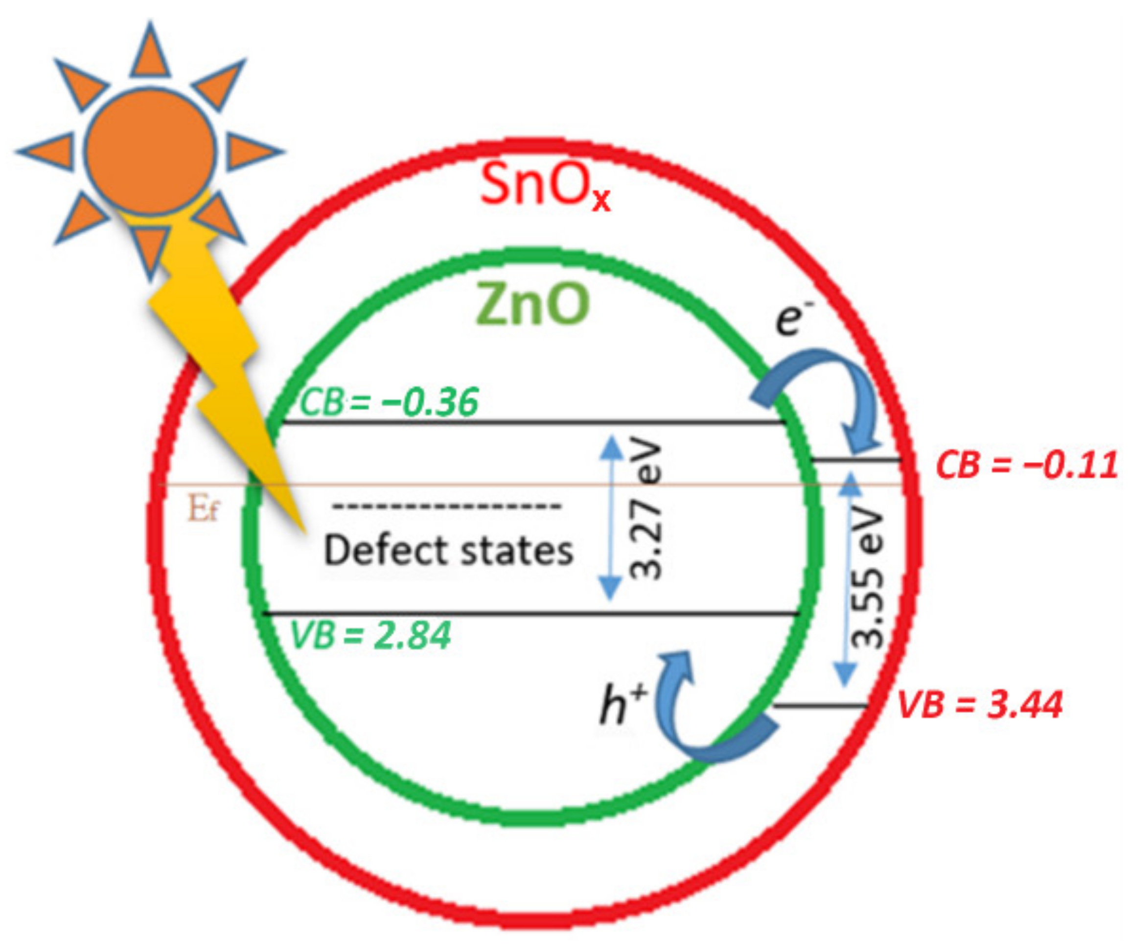 Ijms 22 04513 g008 Ijms 22 04513 g008