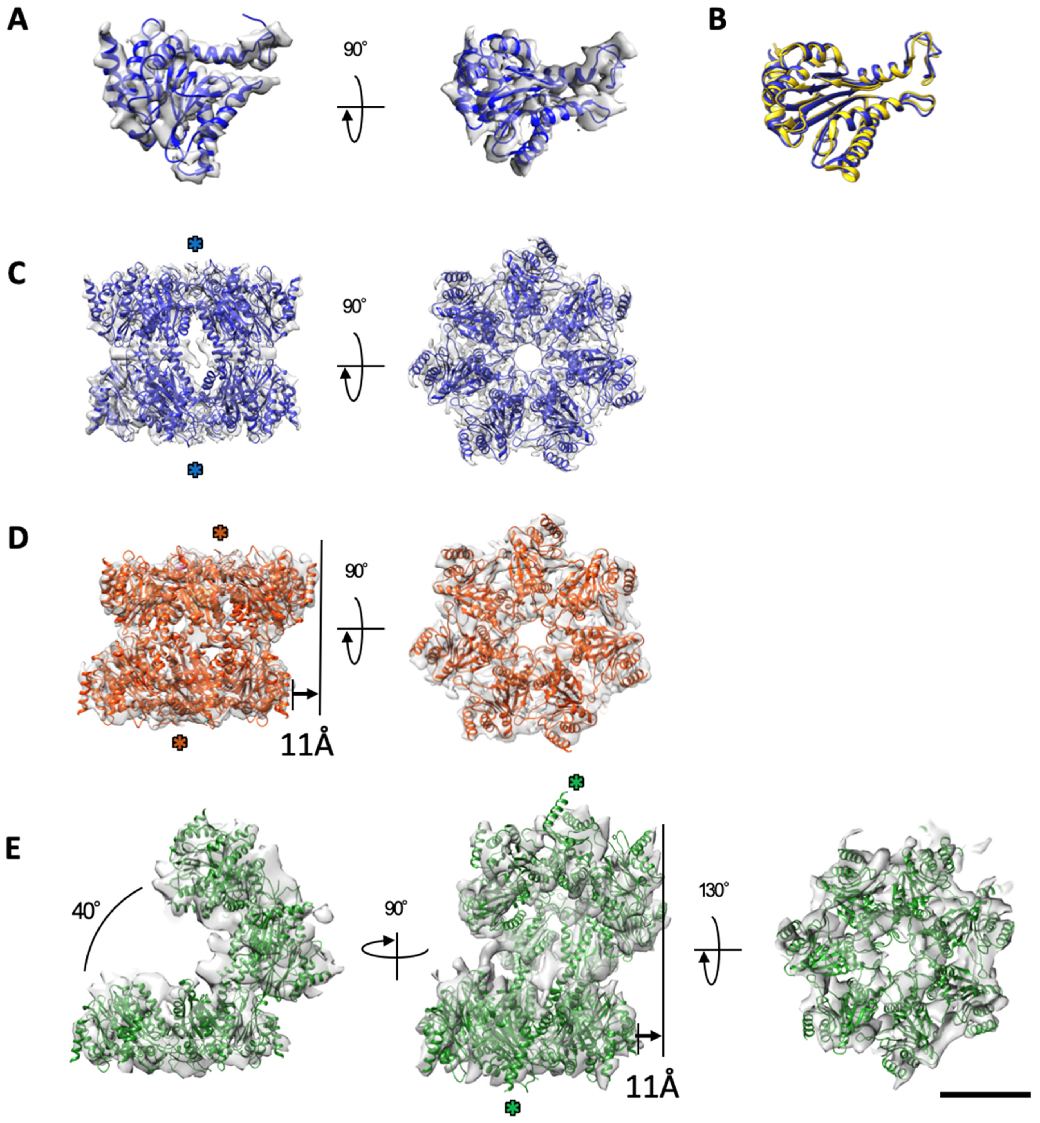 Ijms 22 04519 g002 Ijms 22 04519 g002