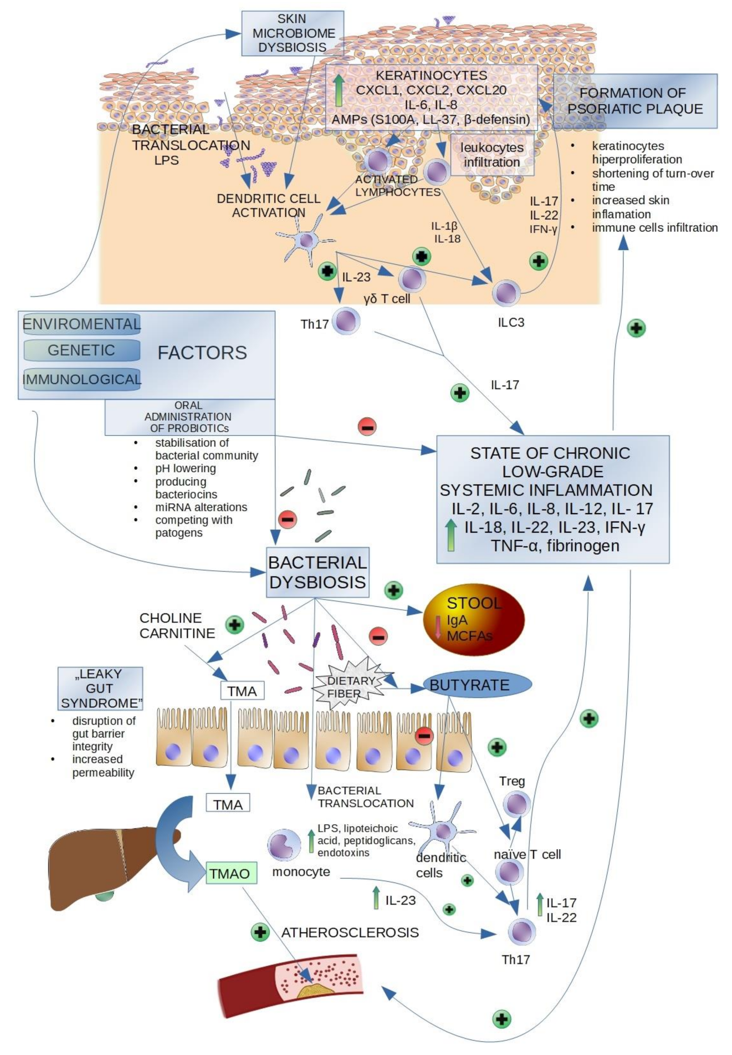 Bőr Psoriasis Cure | Sanidex Magyarországon