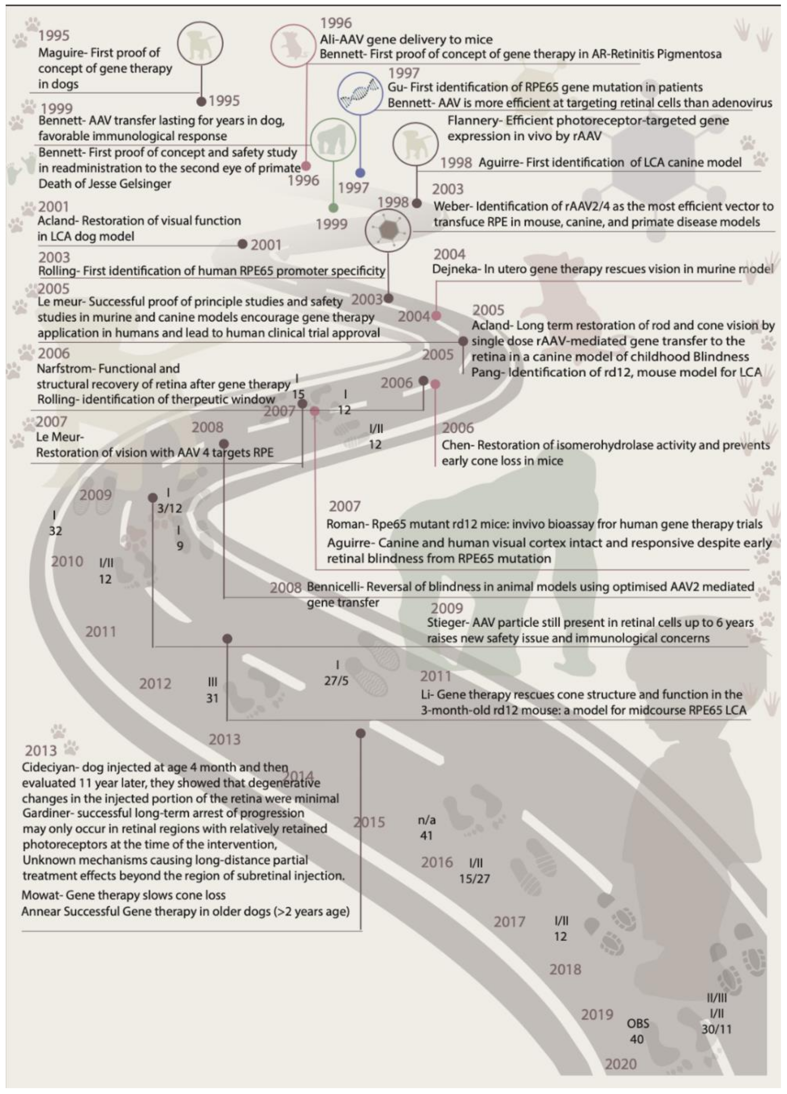 Ijms 22 04534 g002 Ijms 22 04534 g002