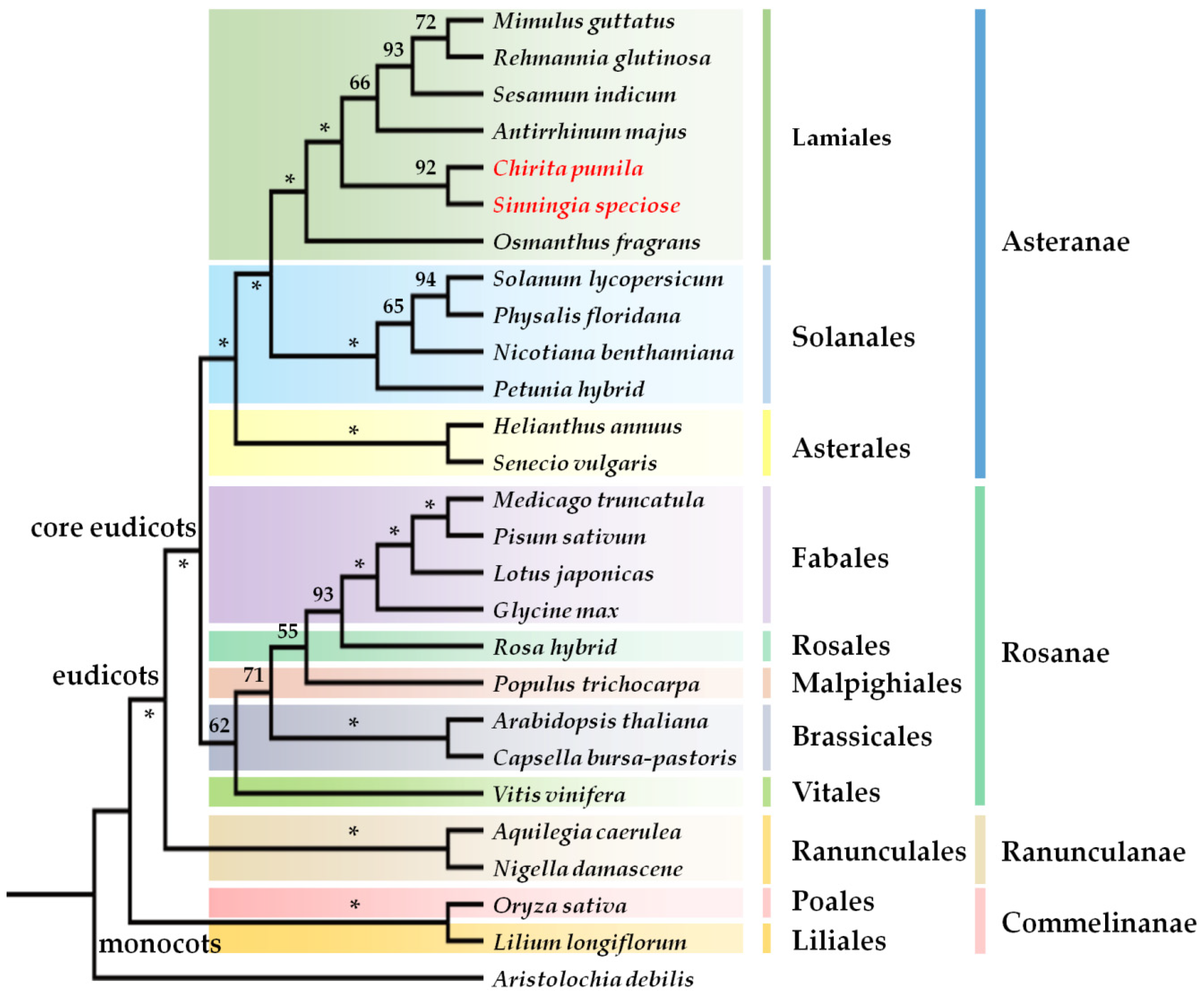 Ijms 22 04544 g001 Ijms 22 04544 g001
