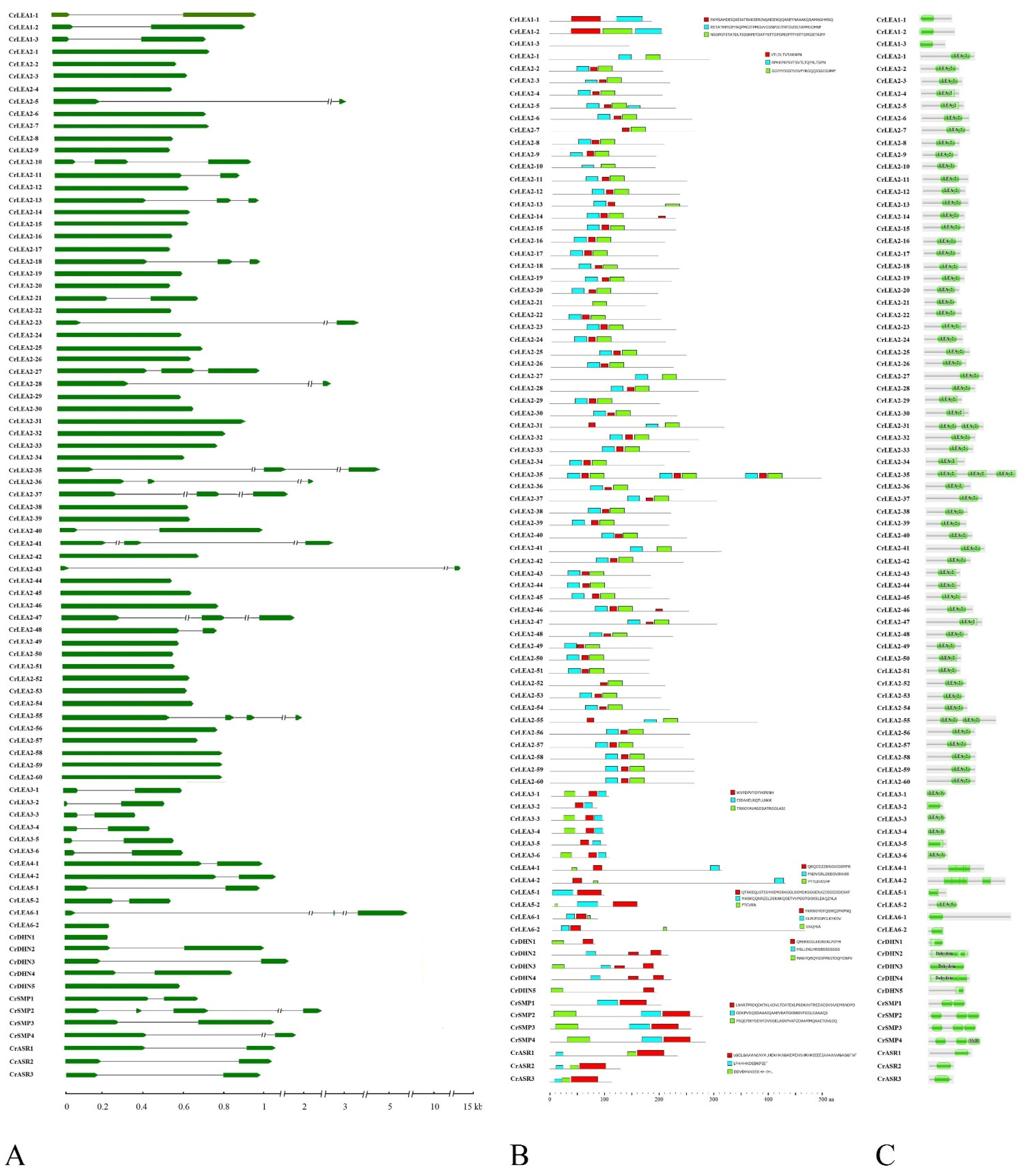 Ijms 22 04554 g002 Ijms 22 04554 g002