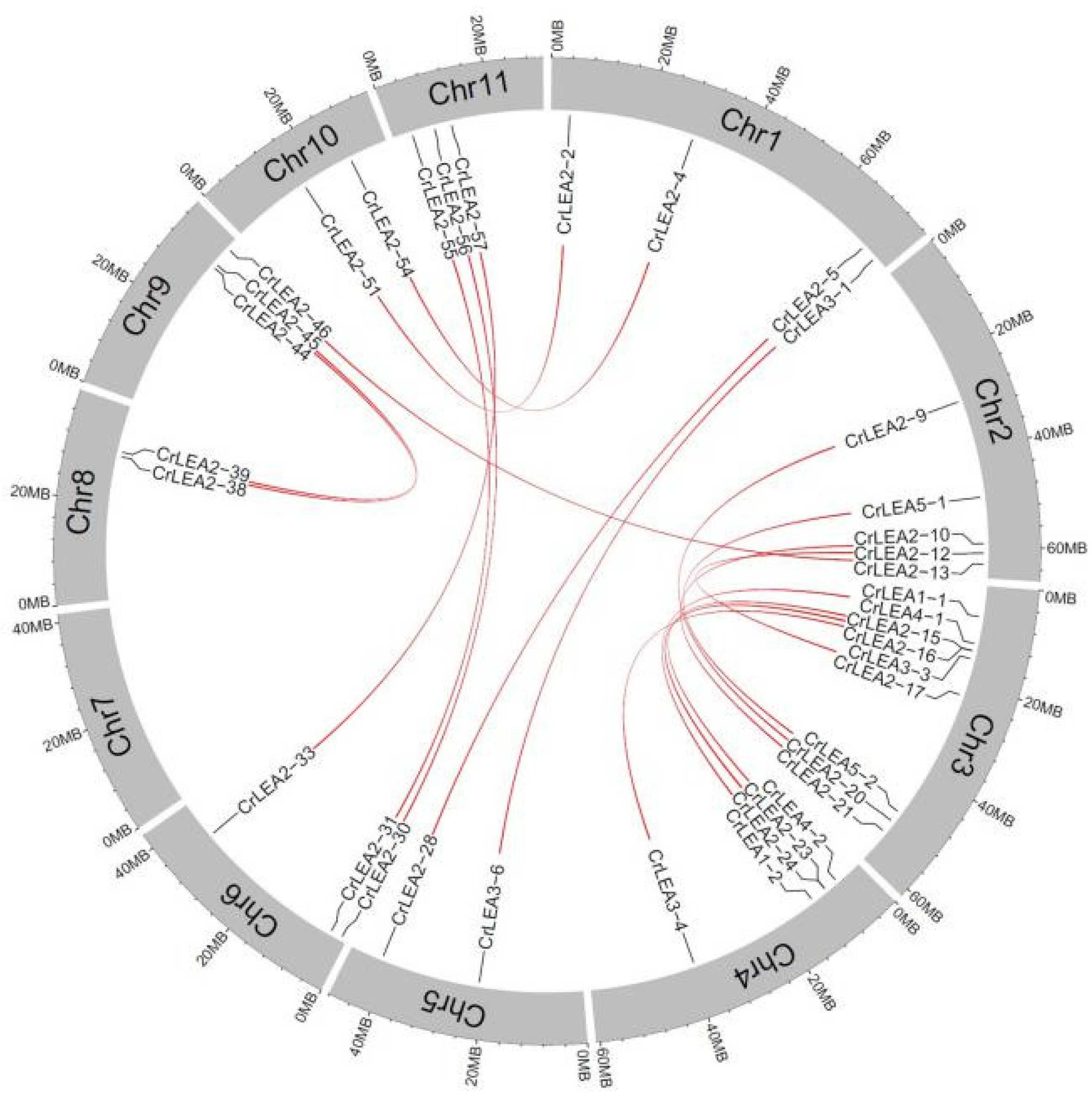Ijms 22 04554 g004 Ijms 22 04554 g004