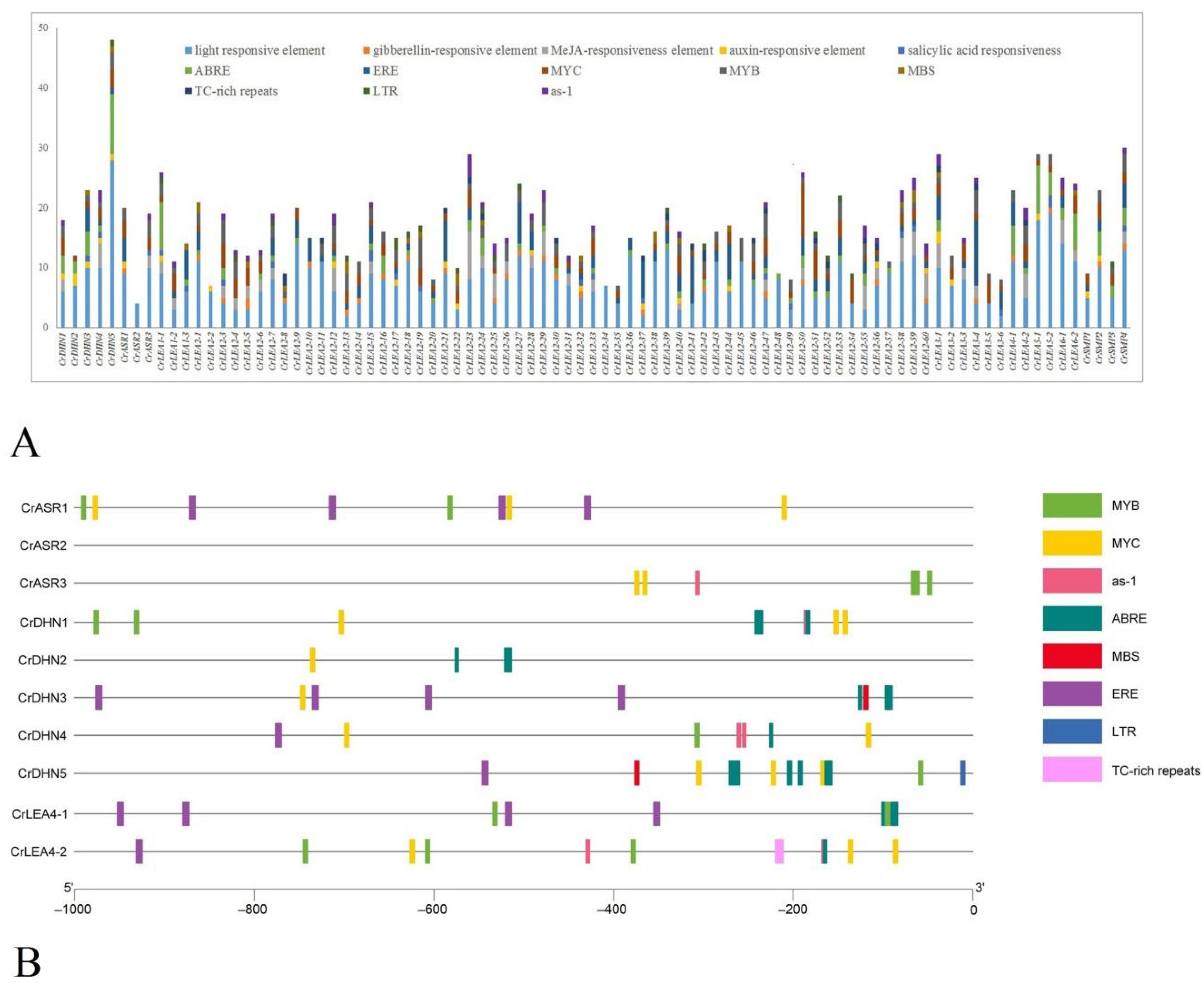 Ijms 22 04554 g005 Ijms 22 04554 g005