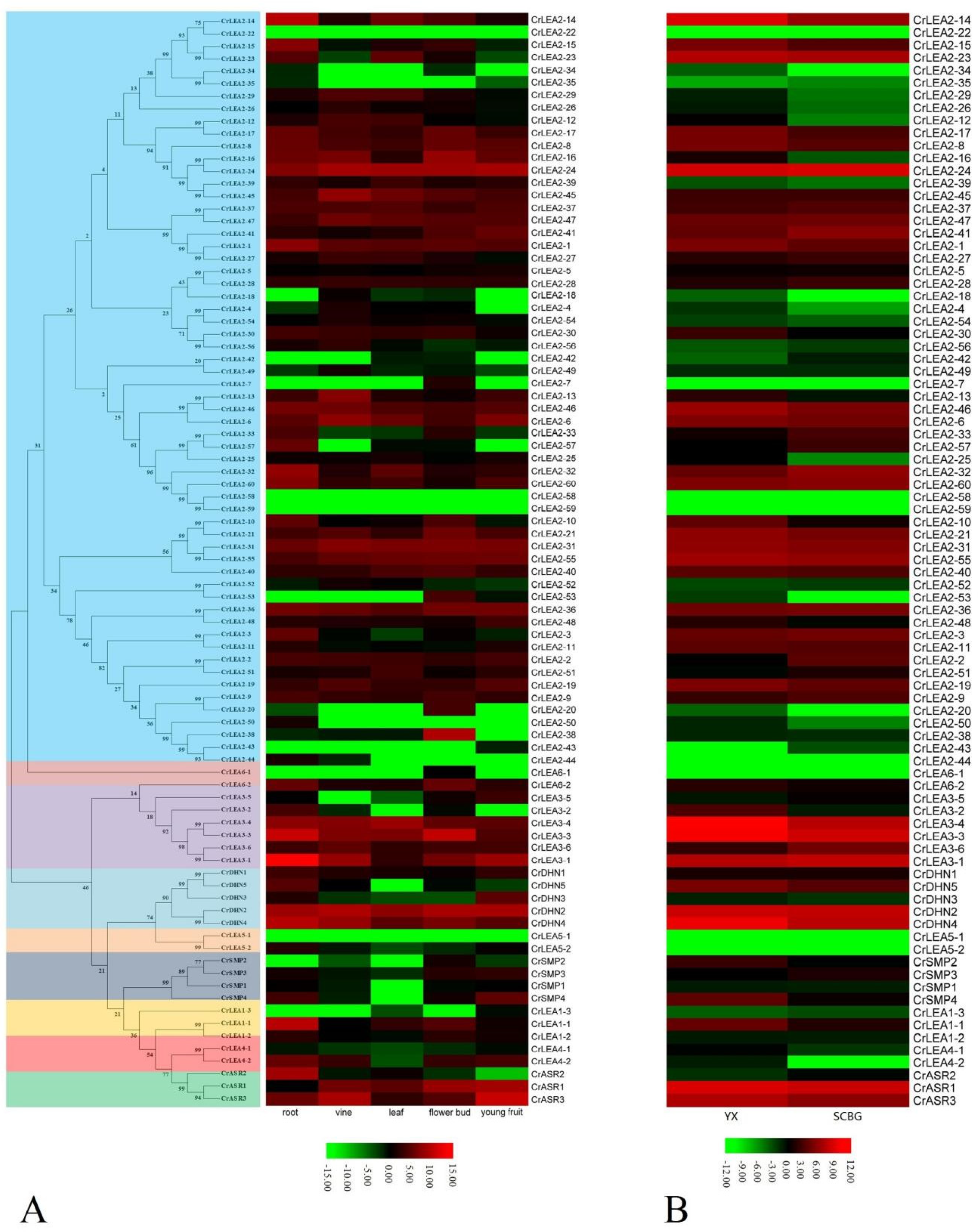 Ijms 22 04554 g006 Ijms 22 04554 g006