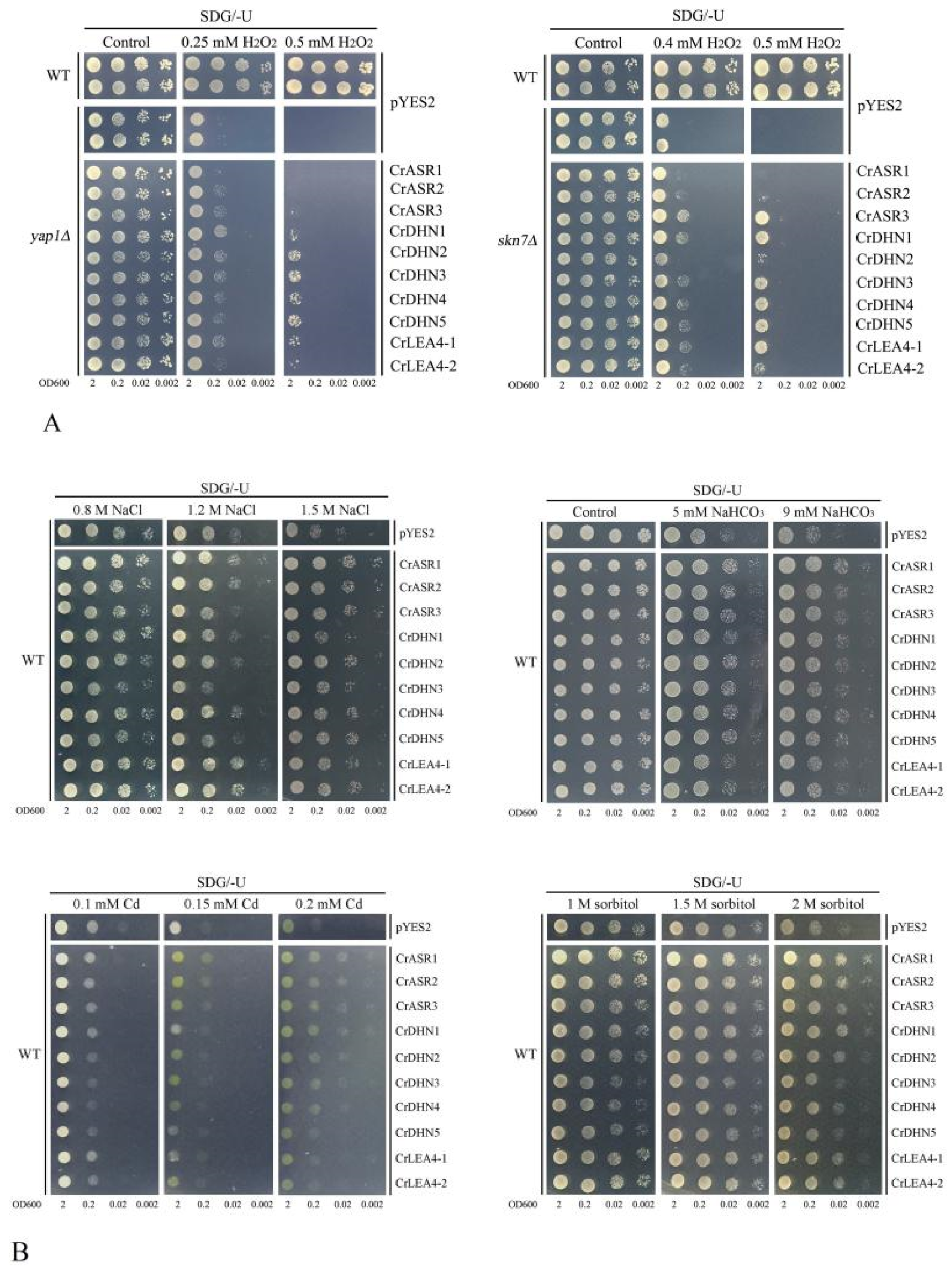 Ijms 22 04554 g008 Ijms 22 04554 g008