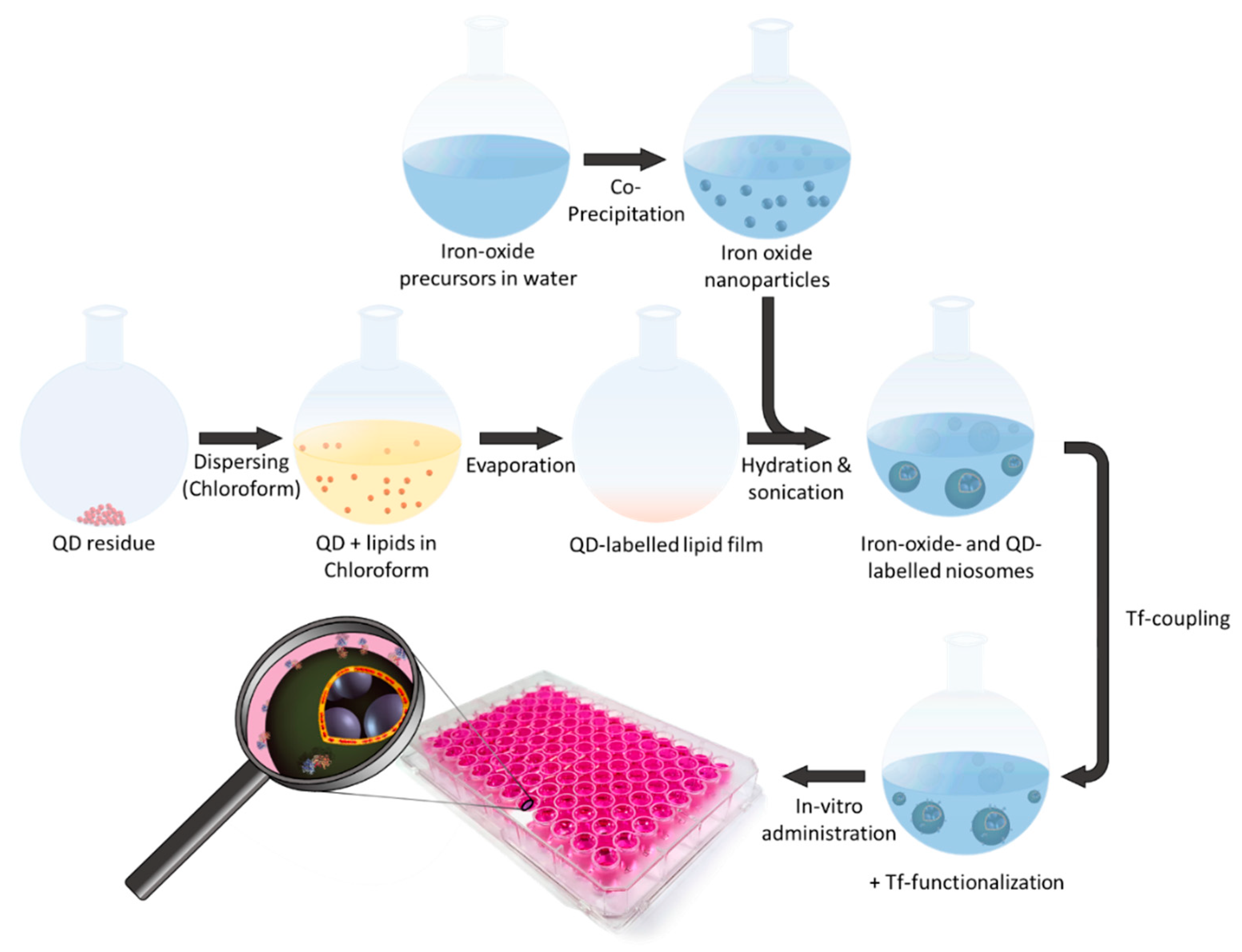 Ijms 22 04556 sch001 Ijms 22 04556 sch001