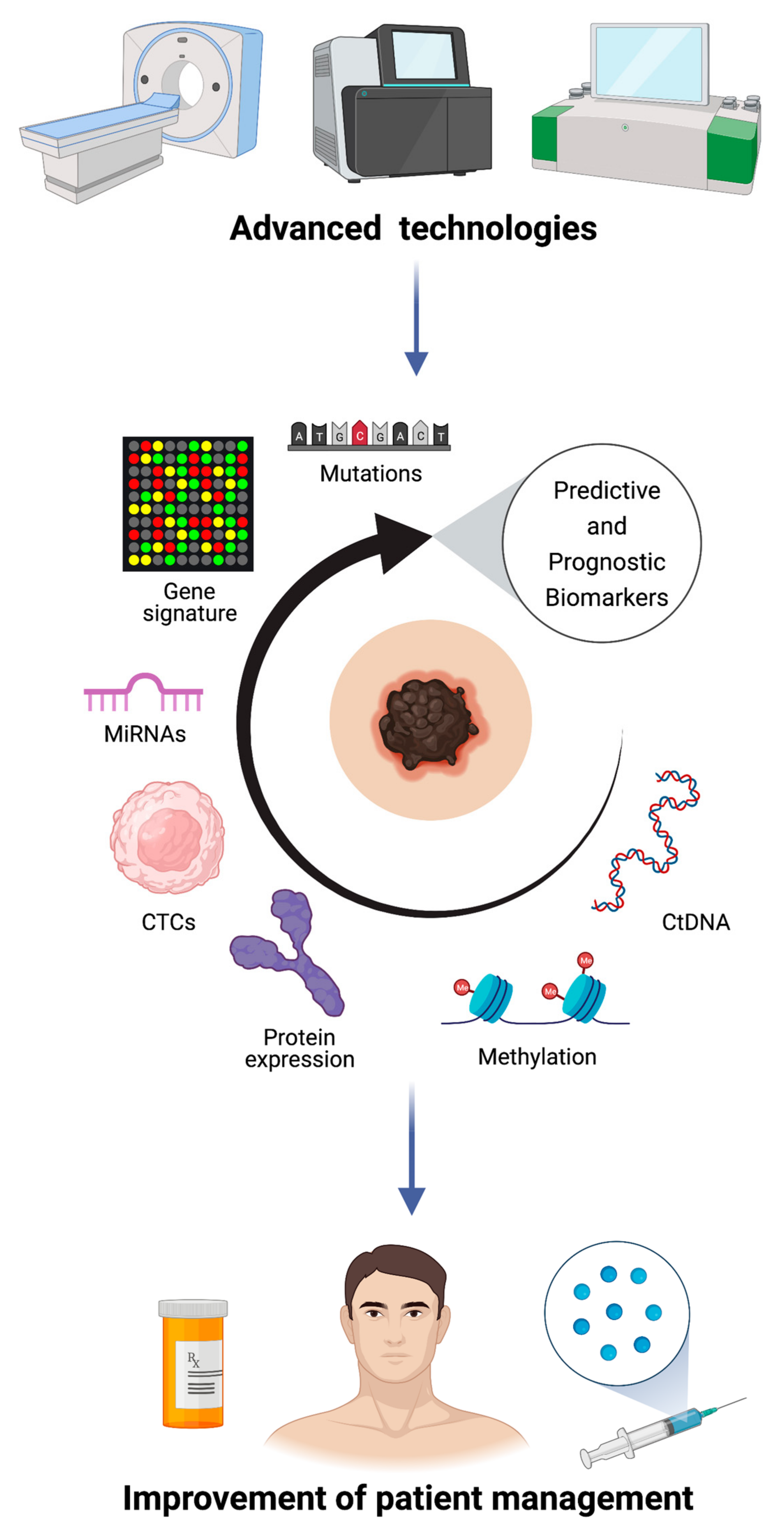 Ijms 22 04561 g001 Ijms 22 04561 g001