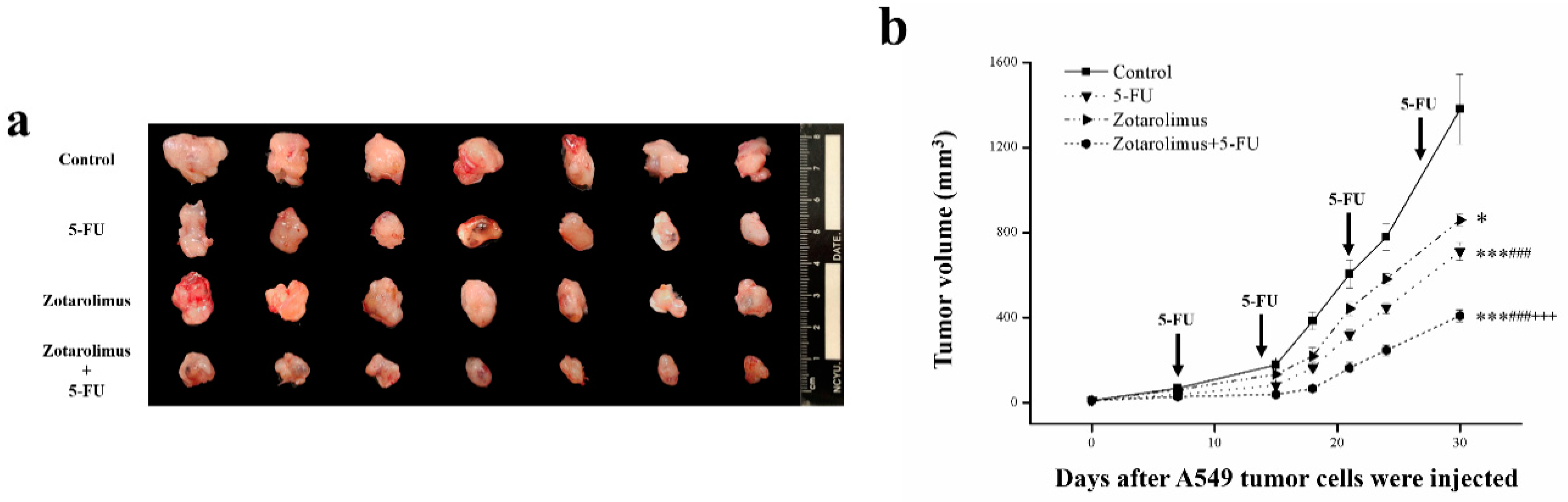 Ijms 22 04562 g001 Ijms 22 04562 g001