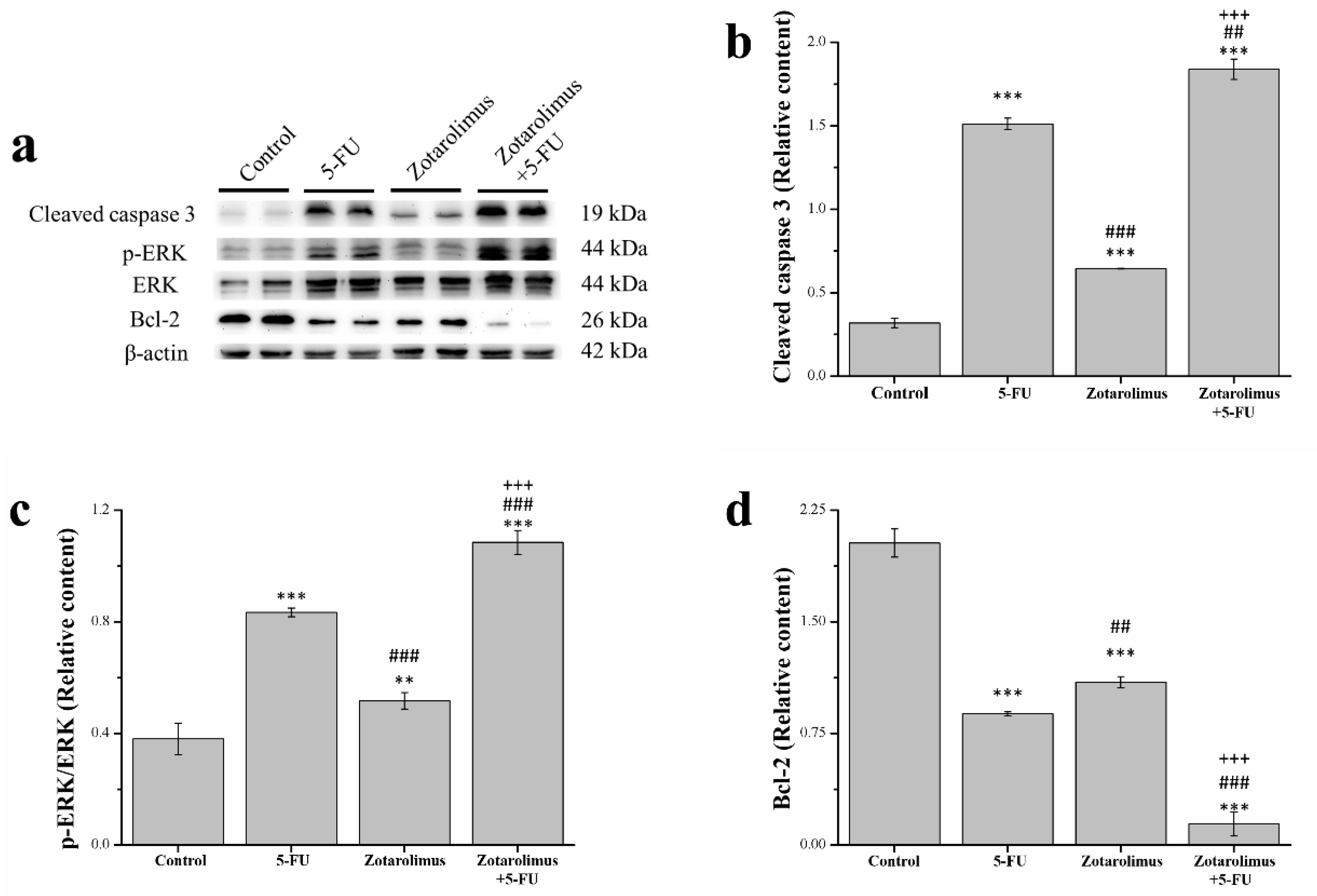 Ijms 22 04562 g003 Ijms 22 04562 g003