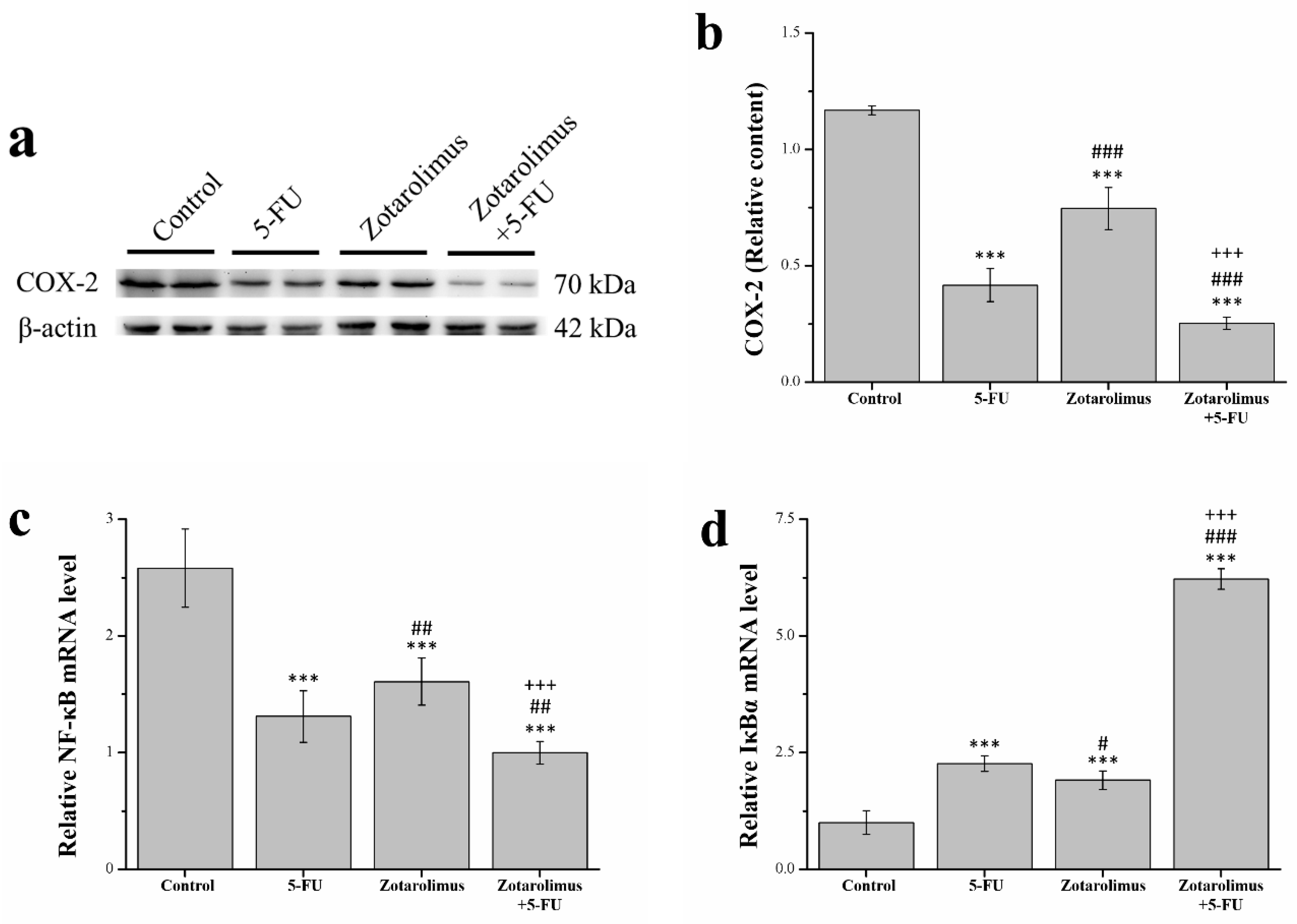 Ijms 22 04562 g005 Ijms 22 04562 g005