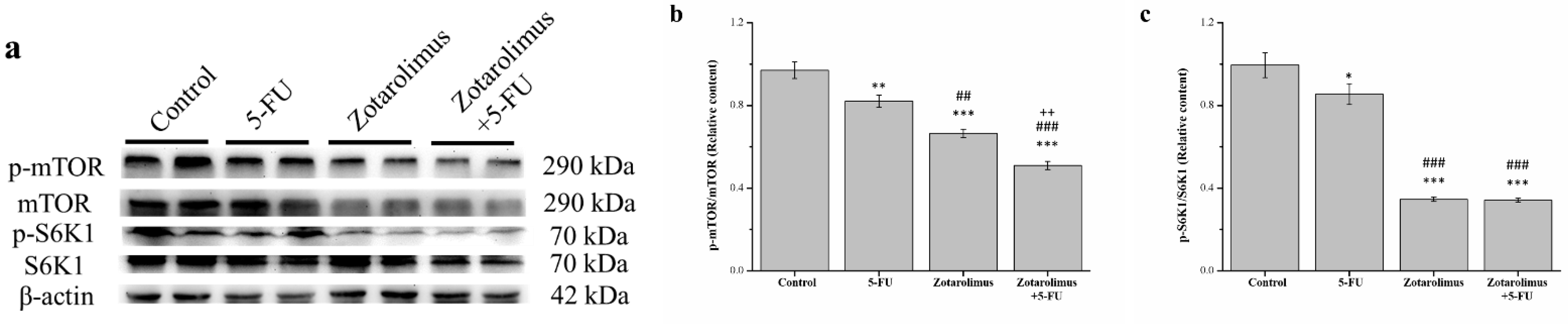 Ijms 22 04562 g0a2 Ijms 22 04562 g0a2