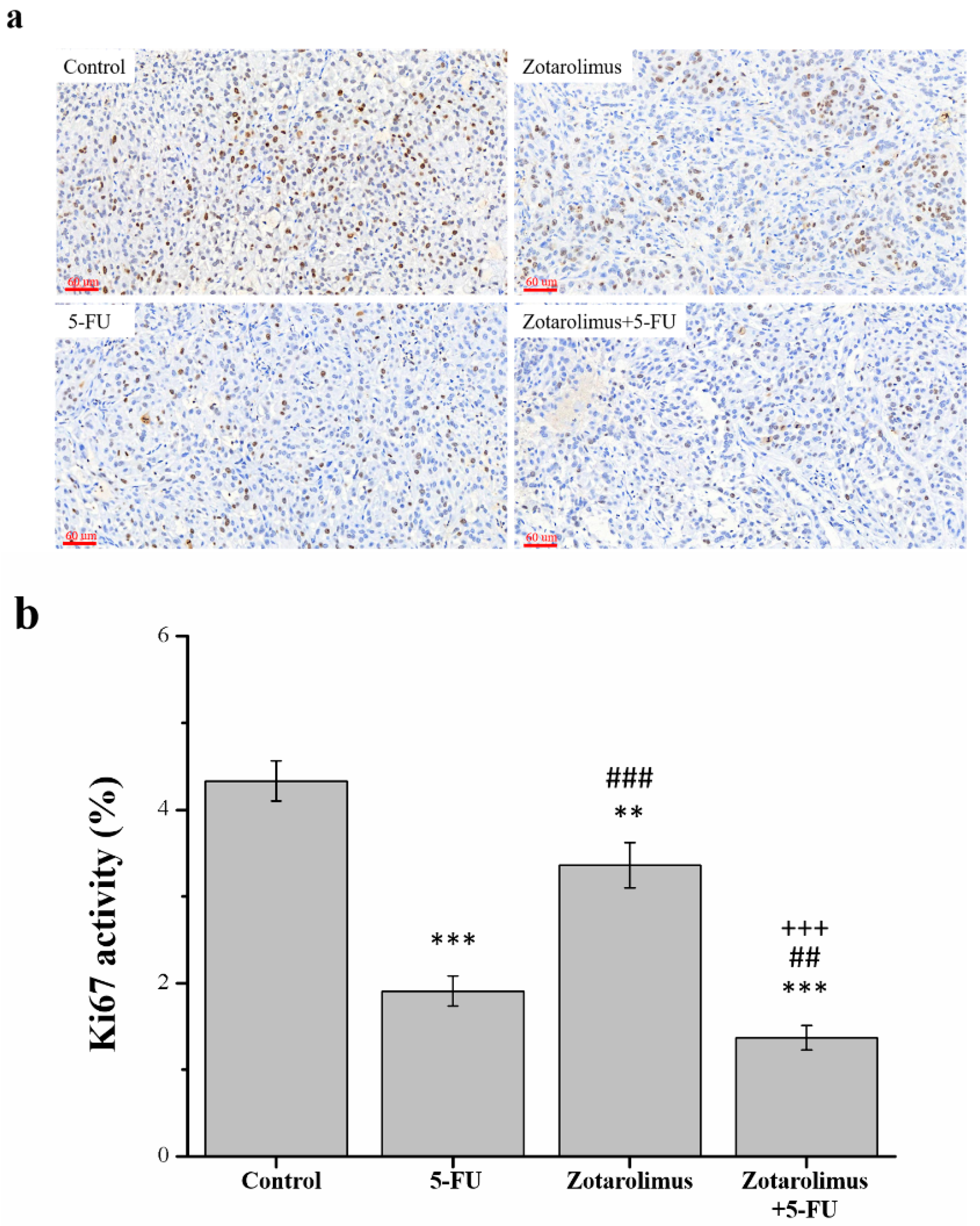 Ijms 22 04562 g0a5 Ijms 22 04562 g0a5