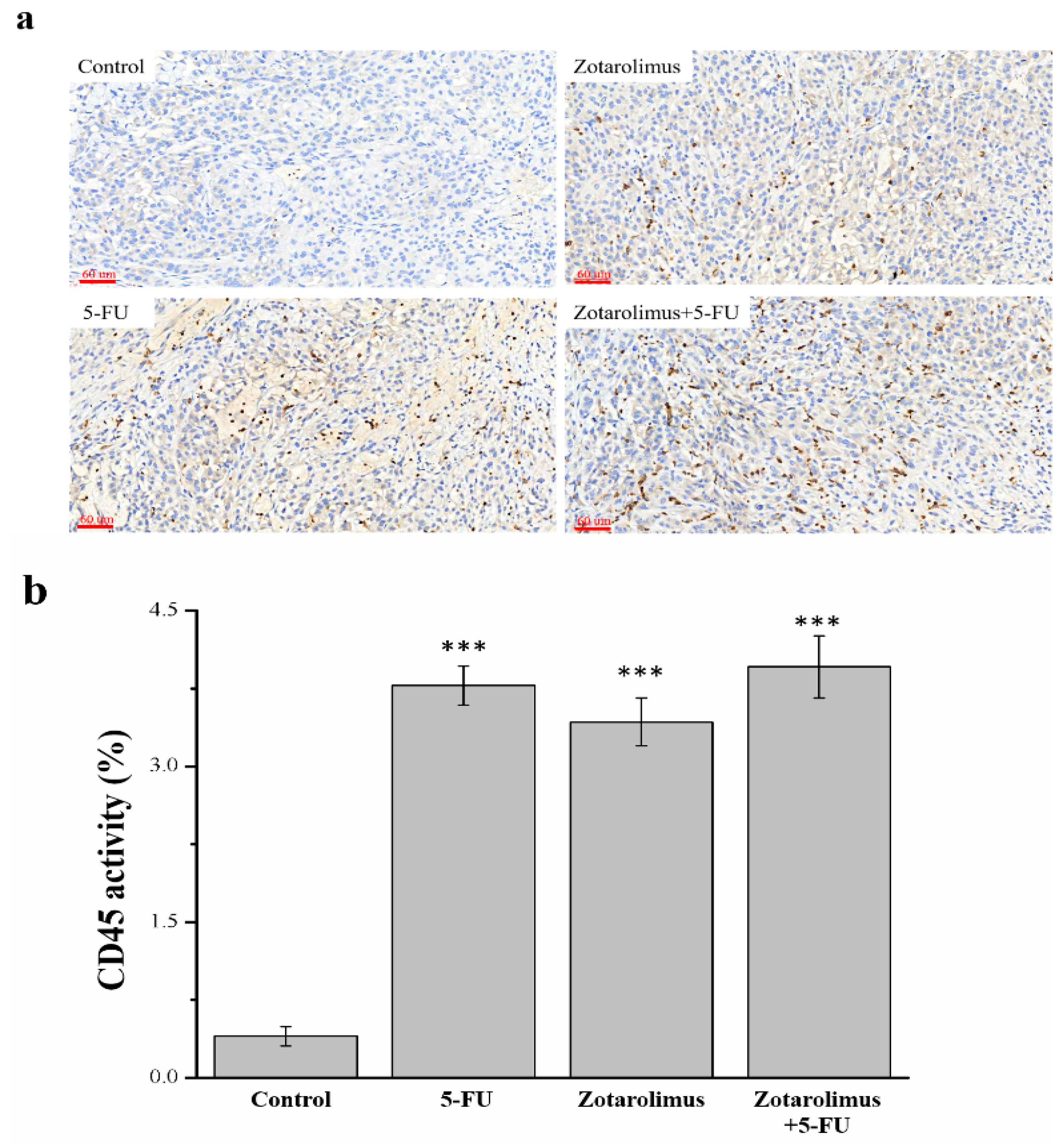 Ijms 22 04562 g0a7 Ijms 22 04562 g0a7