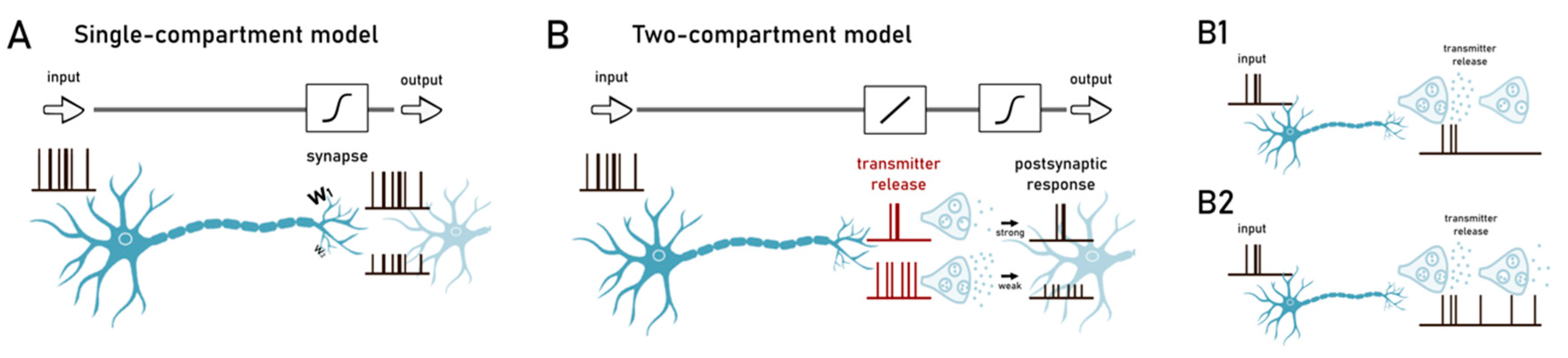 Ijms 22 04565 g002 Ijms 22 04565 g002