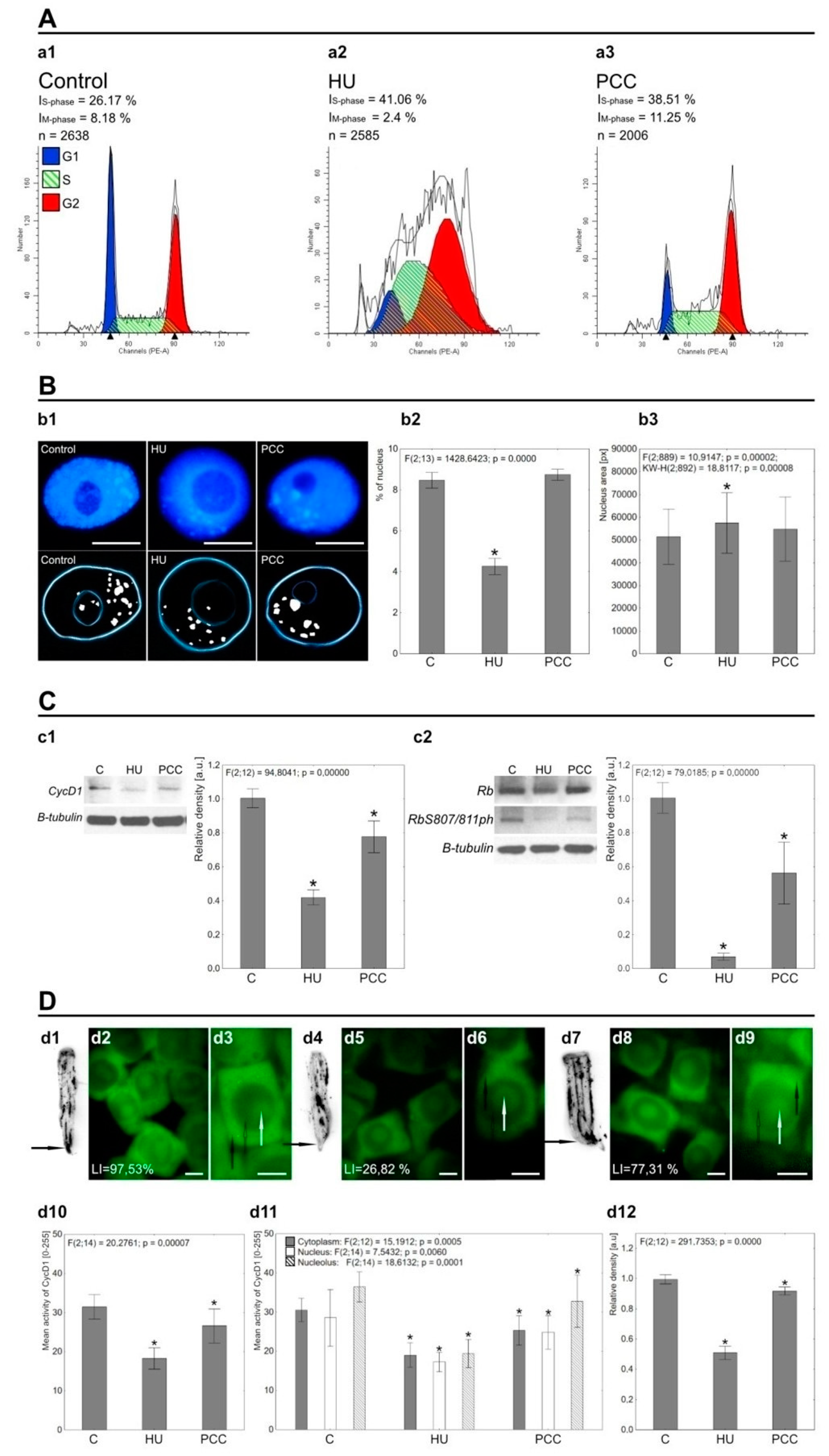 Ijms 22 04572 g001 Ijms 22 04572 g001