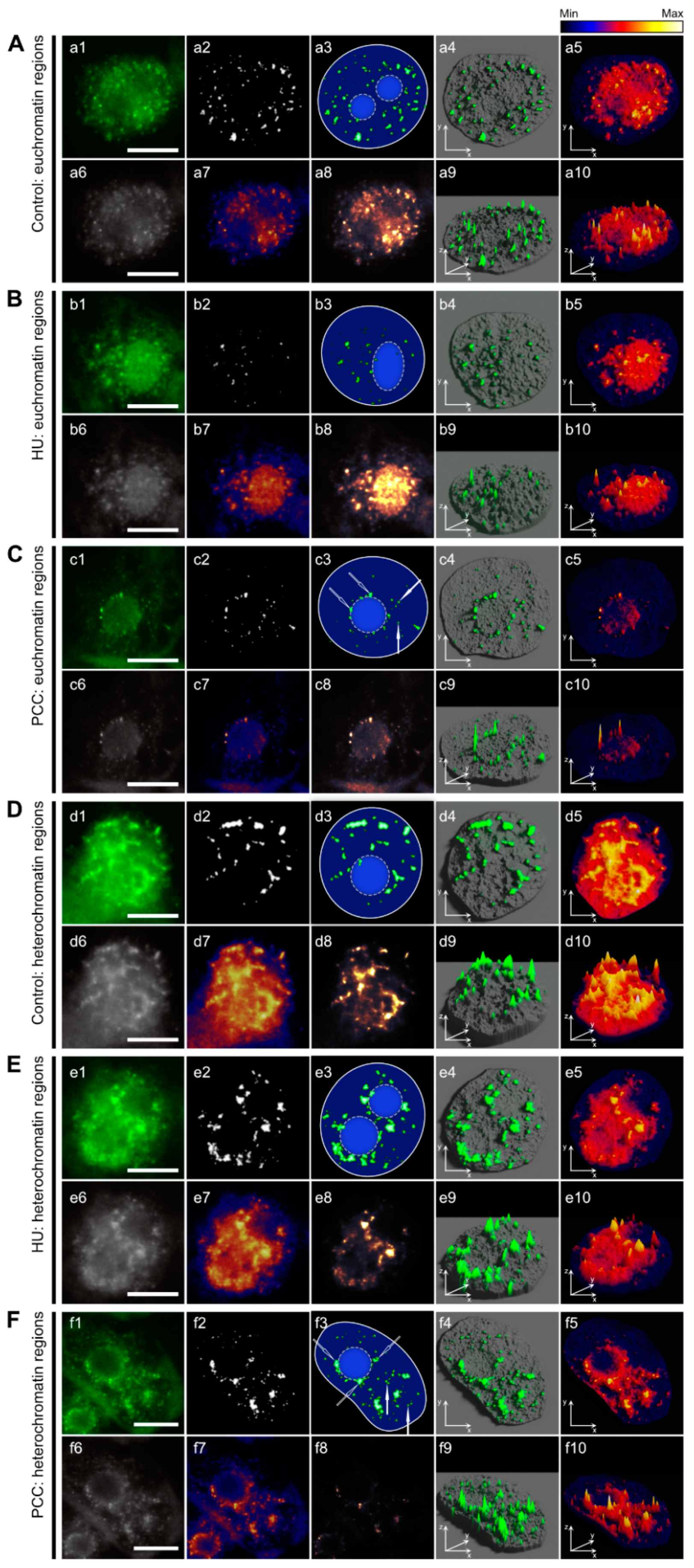 Ijms 22 04572 g004 Ijms 22 04572 g004