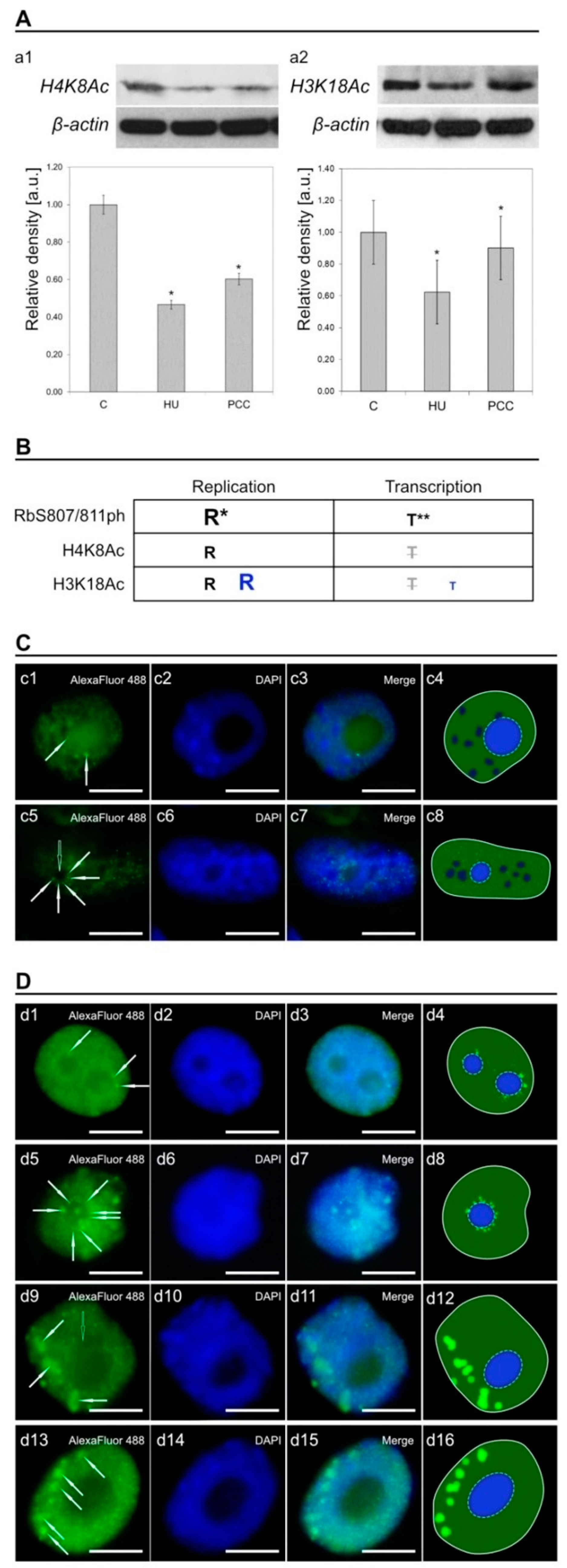 Ijms 22 04572 g007 Ijms 22 04572 g007
