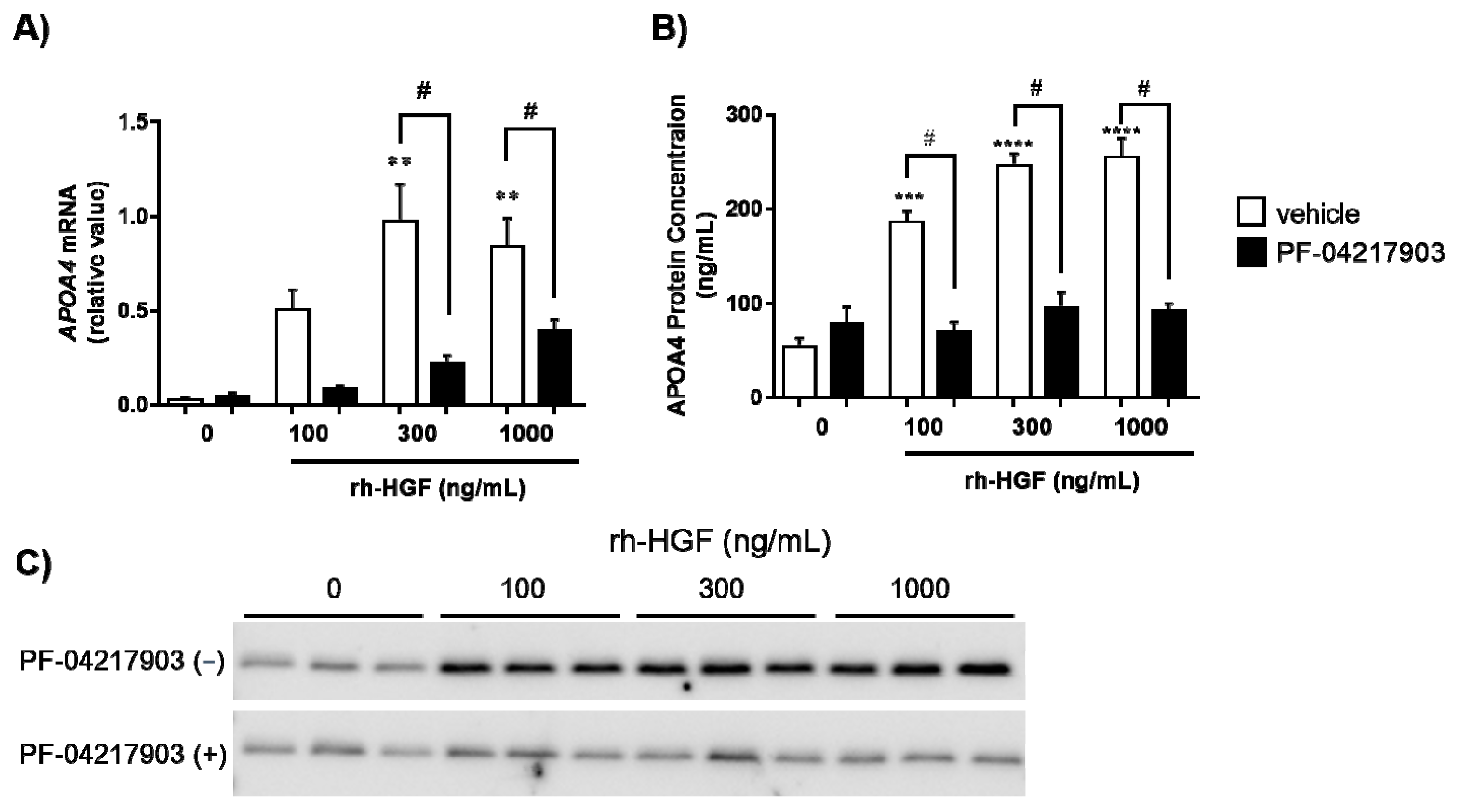 Ijms 22 04578 g001 Ijms 22 04578 g001