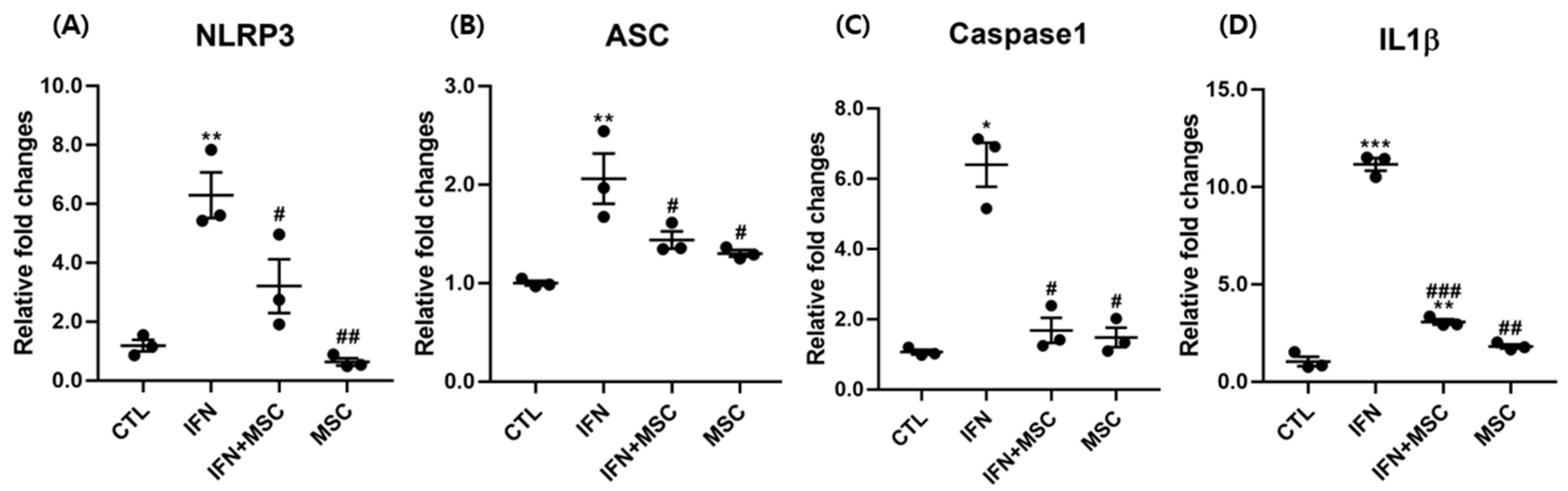 Ijms 22 04581 g002 Ijms 22 04581 g002