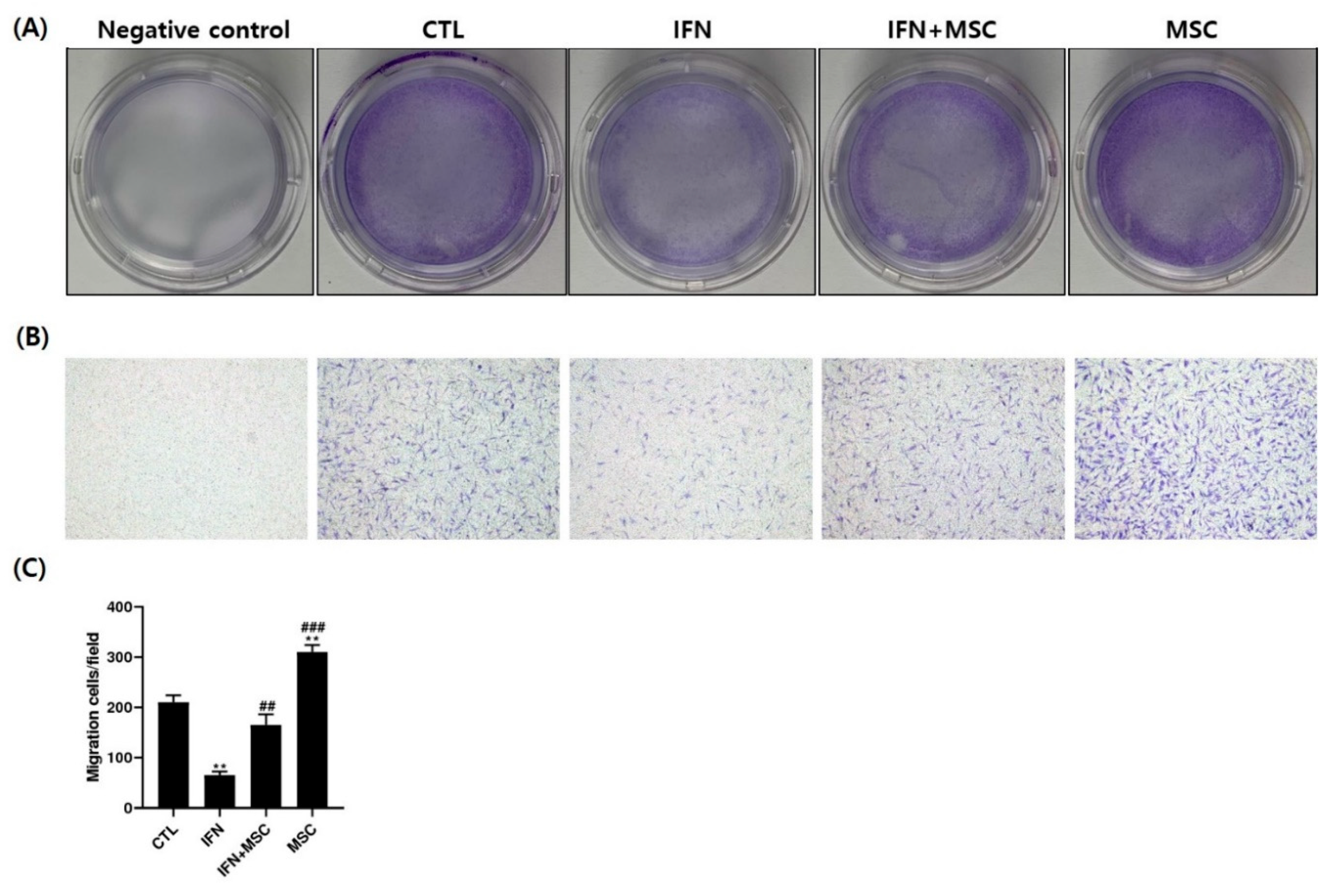 Ijms 22 04581 g008 Ijms 22 04581 g008