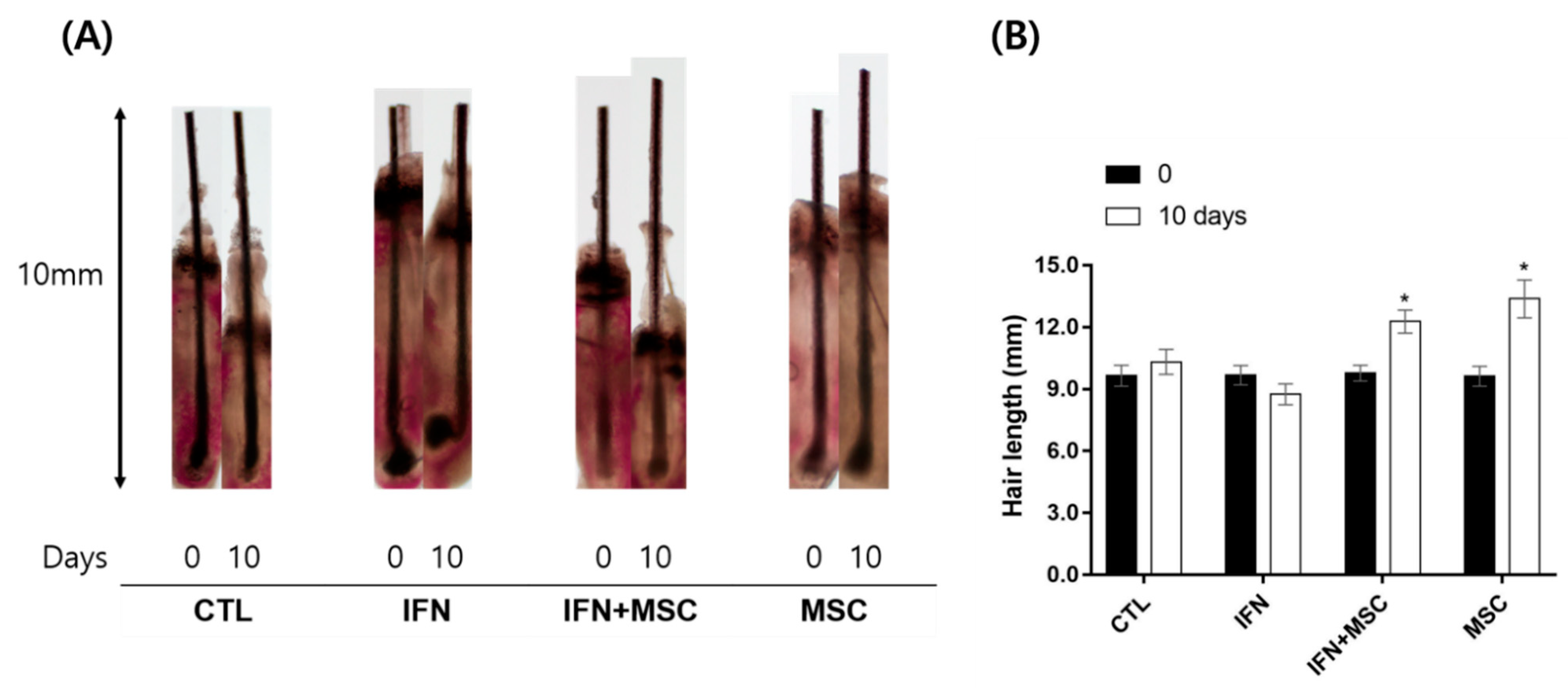 Ijms 22 04581 g009 Ijms 22 04581 g009